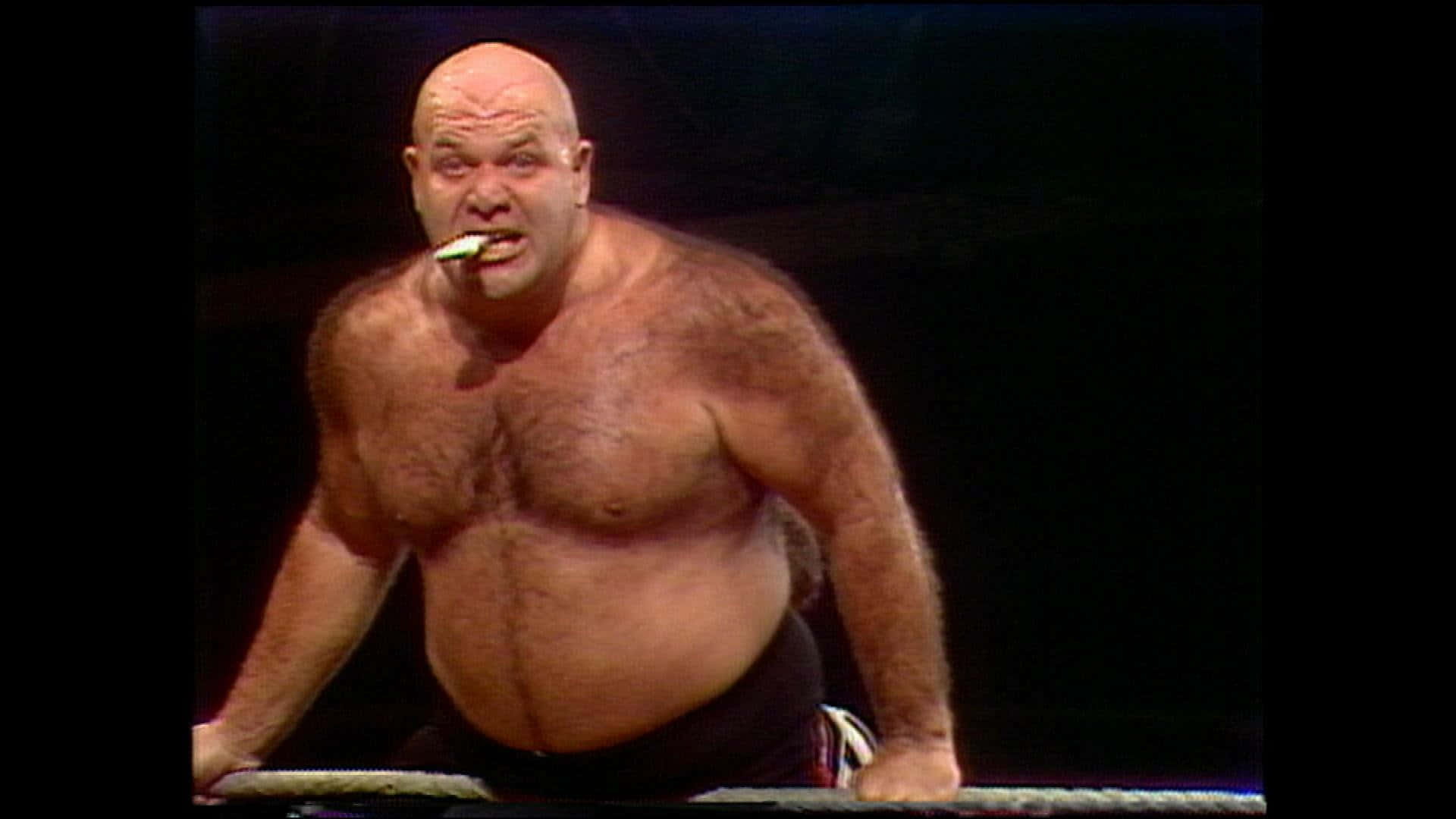 Download George Steele Chewing Turnbuckle Pad Wallpaper 