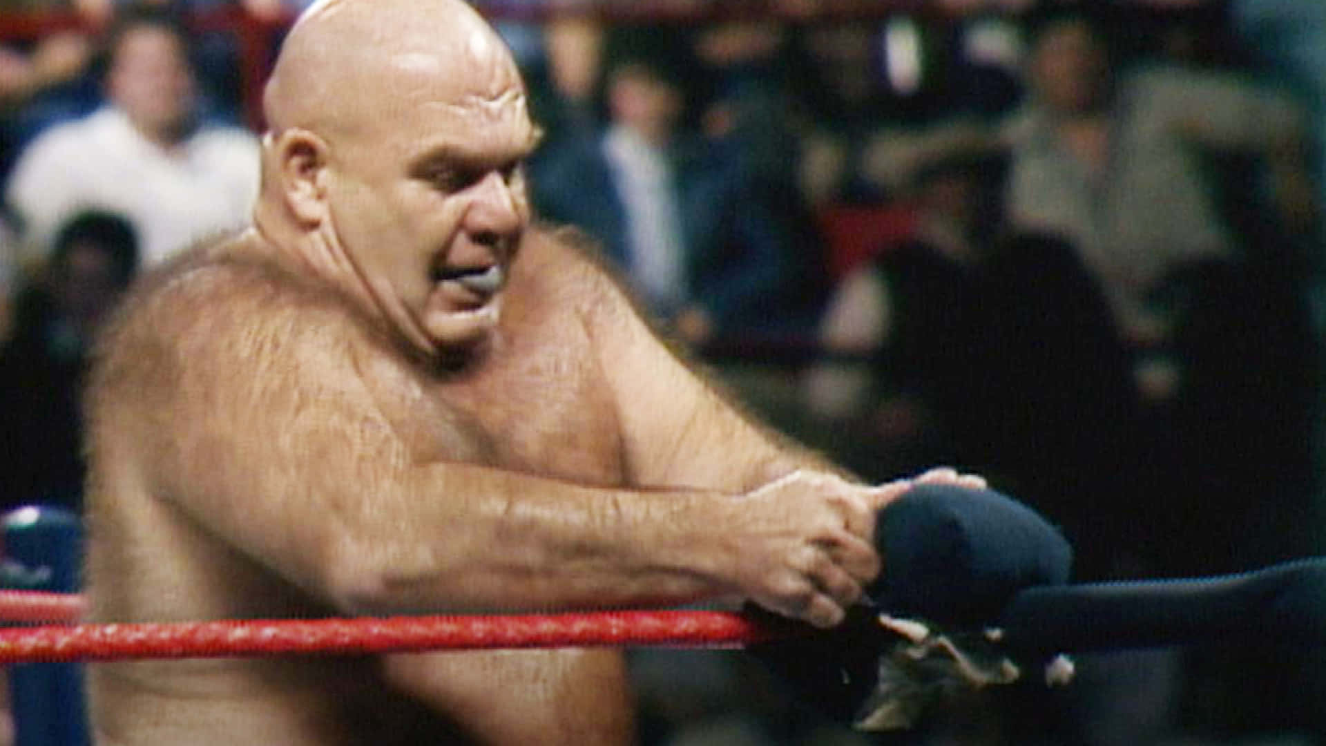 Download George Steele Ripping Turnbuckle Pad Wallpaper 