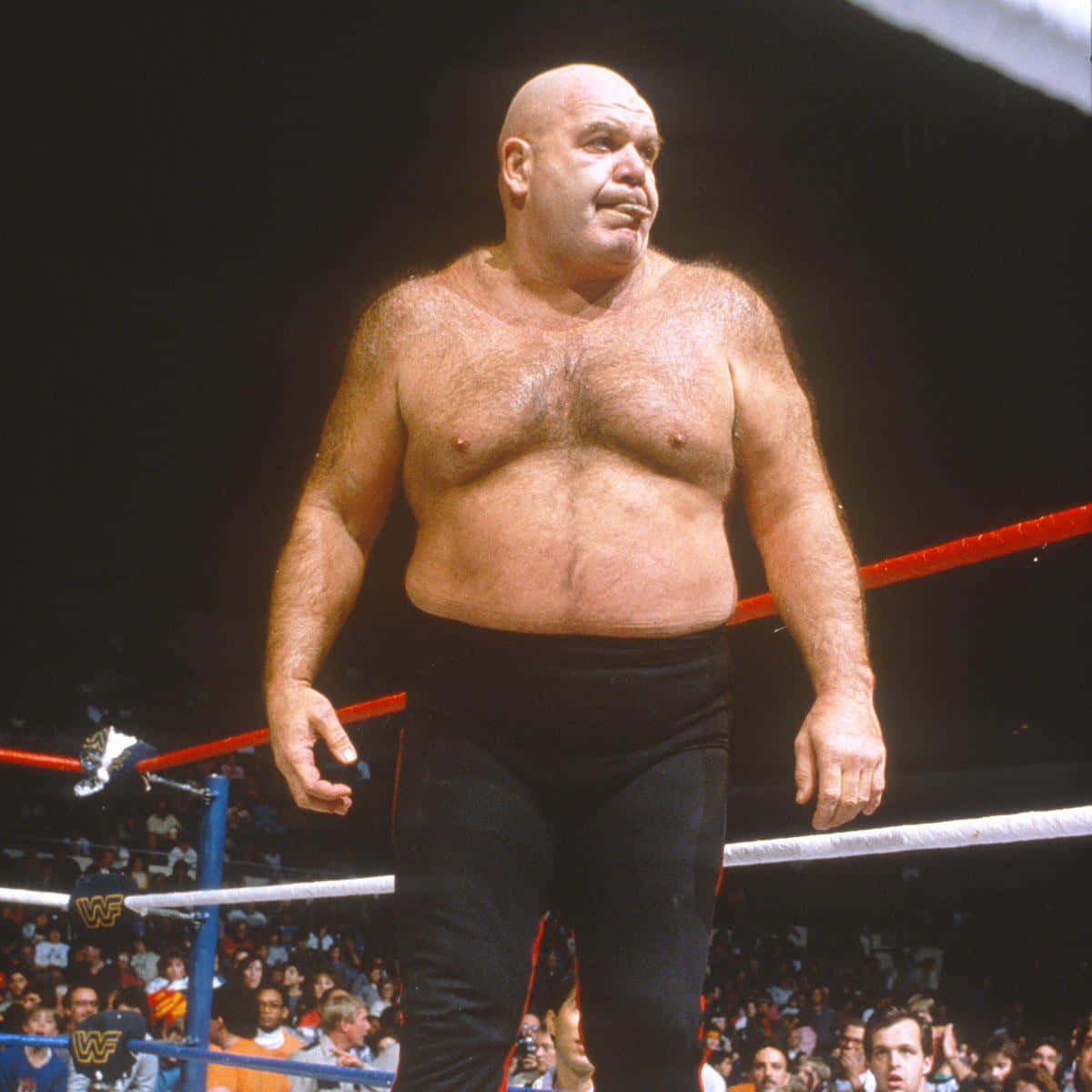 Download George Steele With Tongue Out Wallpaper 