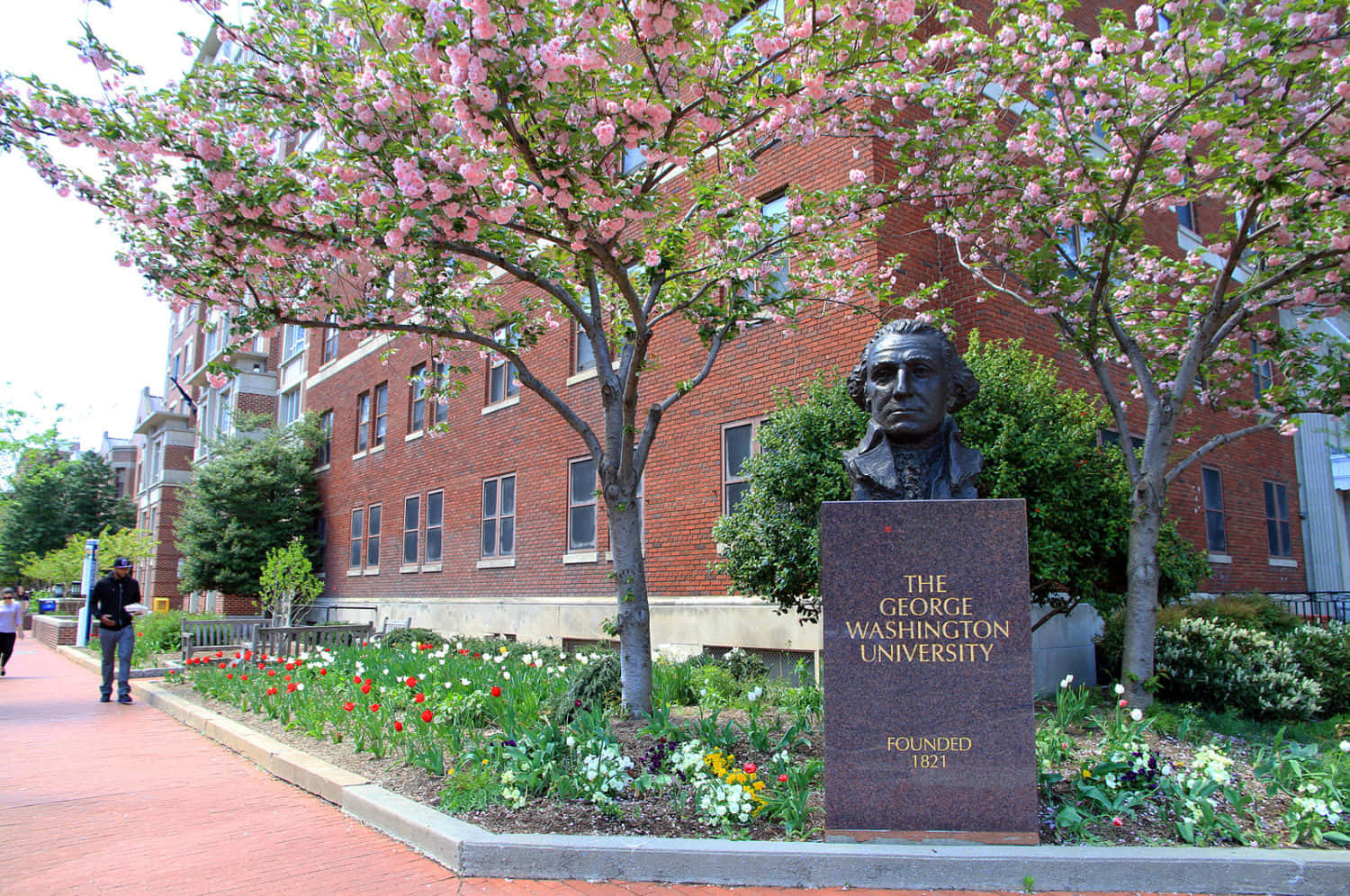 George Washington University Head Statue Picture