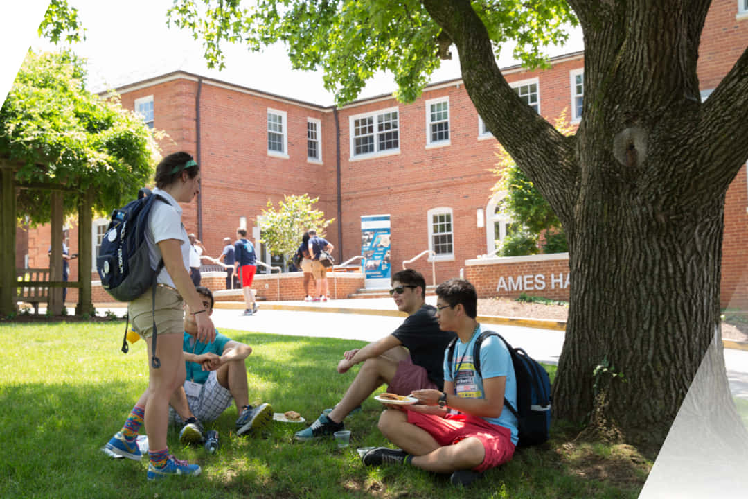 George Washington University Students Sitting At Yard Wallpaper
