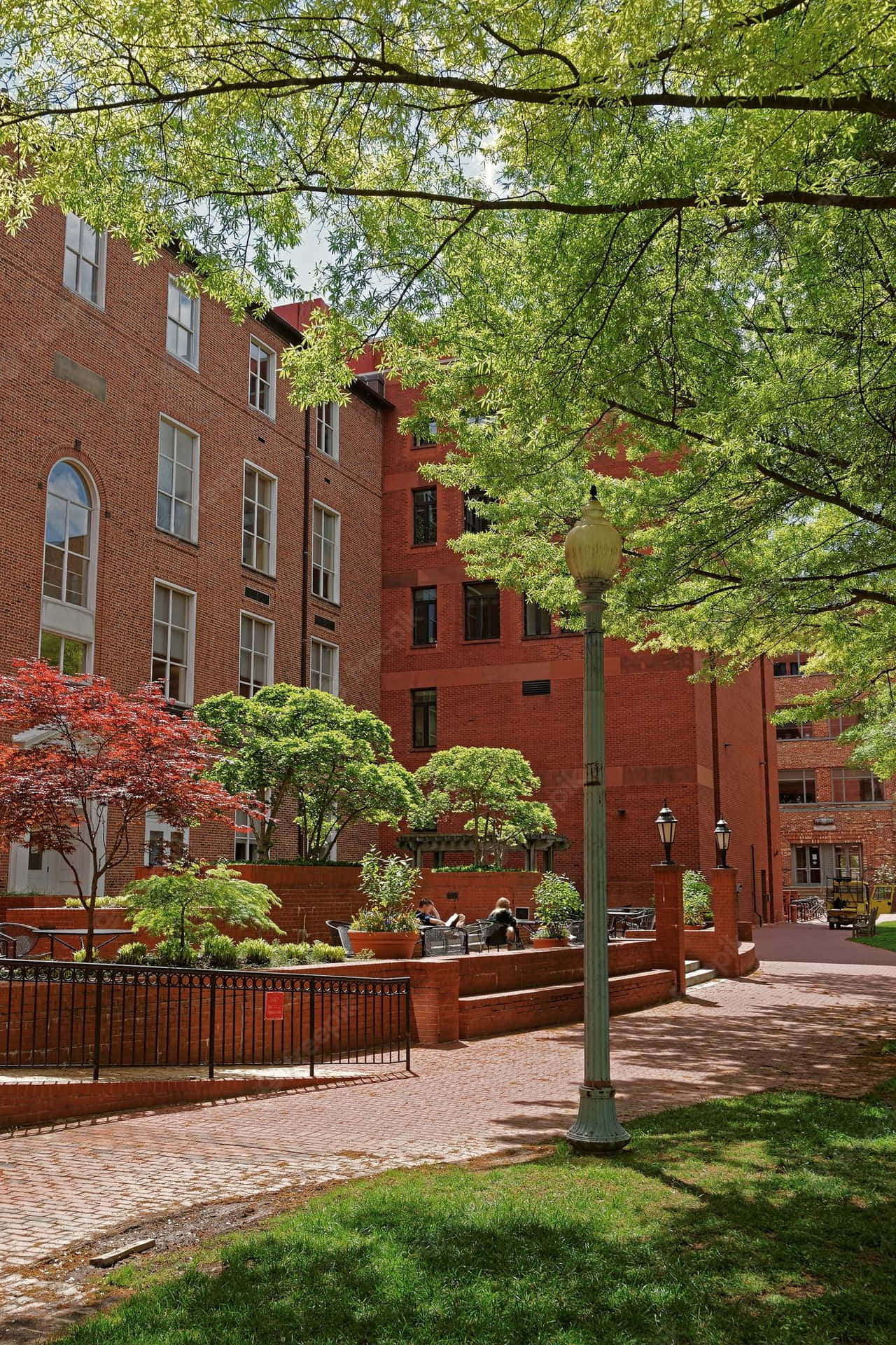 George Washington University Walkway Picture