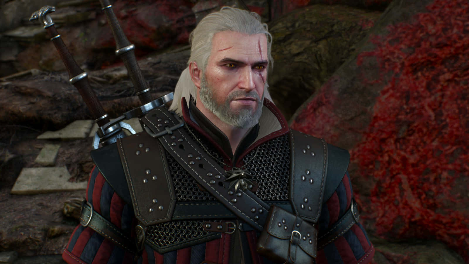 Geraltof Rivia Witcher Armor Wallpaper