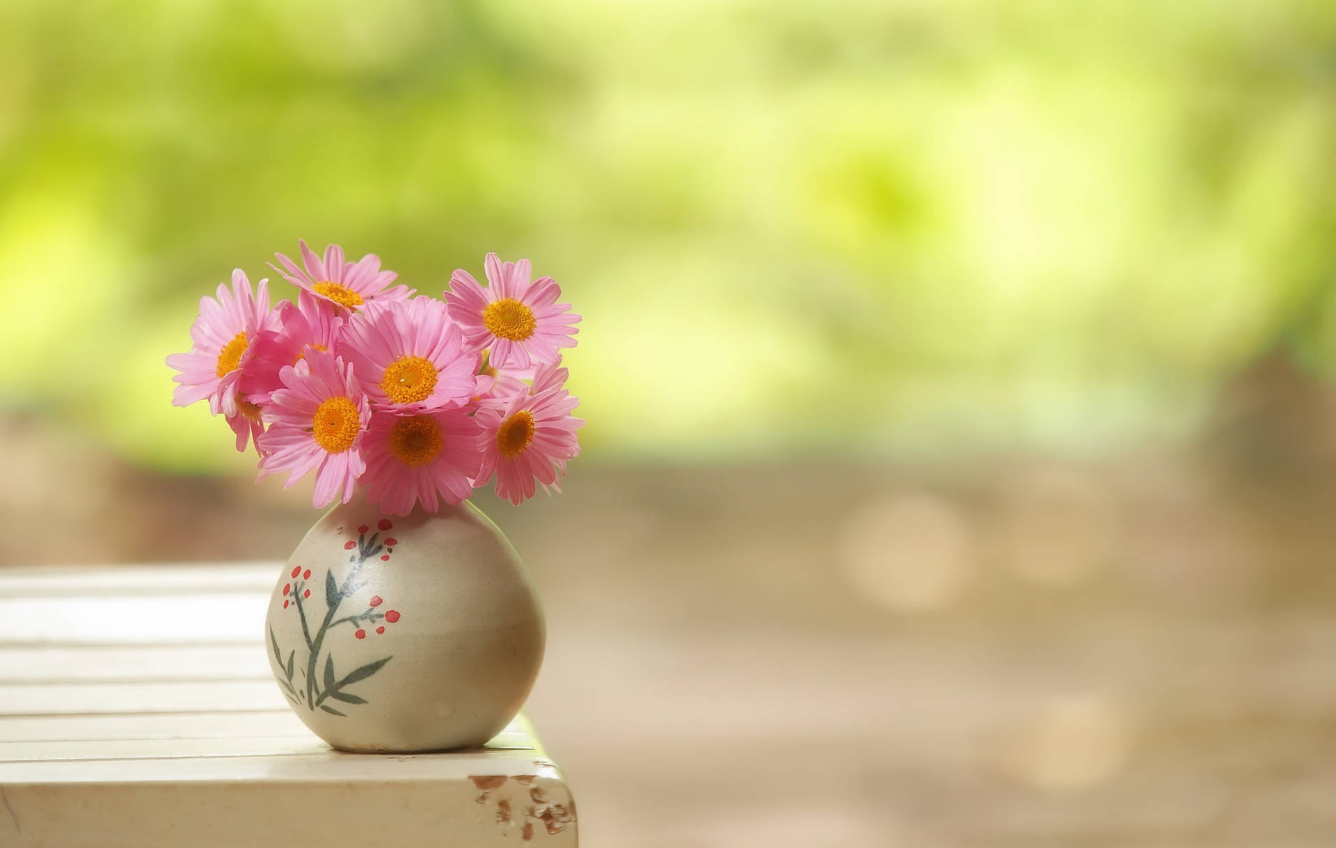 Vibrant Gerbera Daisies in a Chic Ceramic Flower Vase Wallpaper
