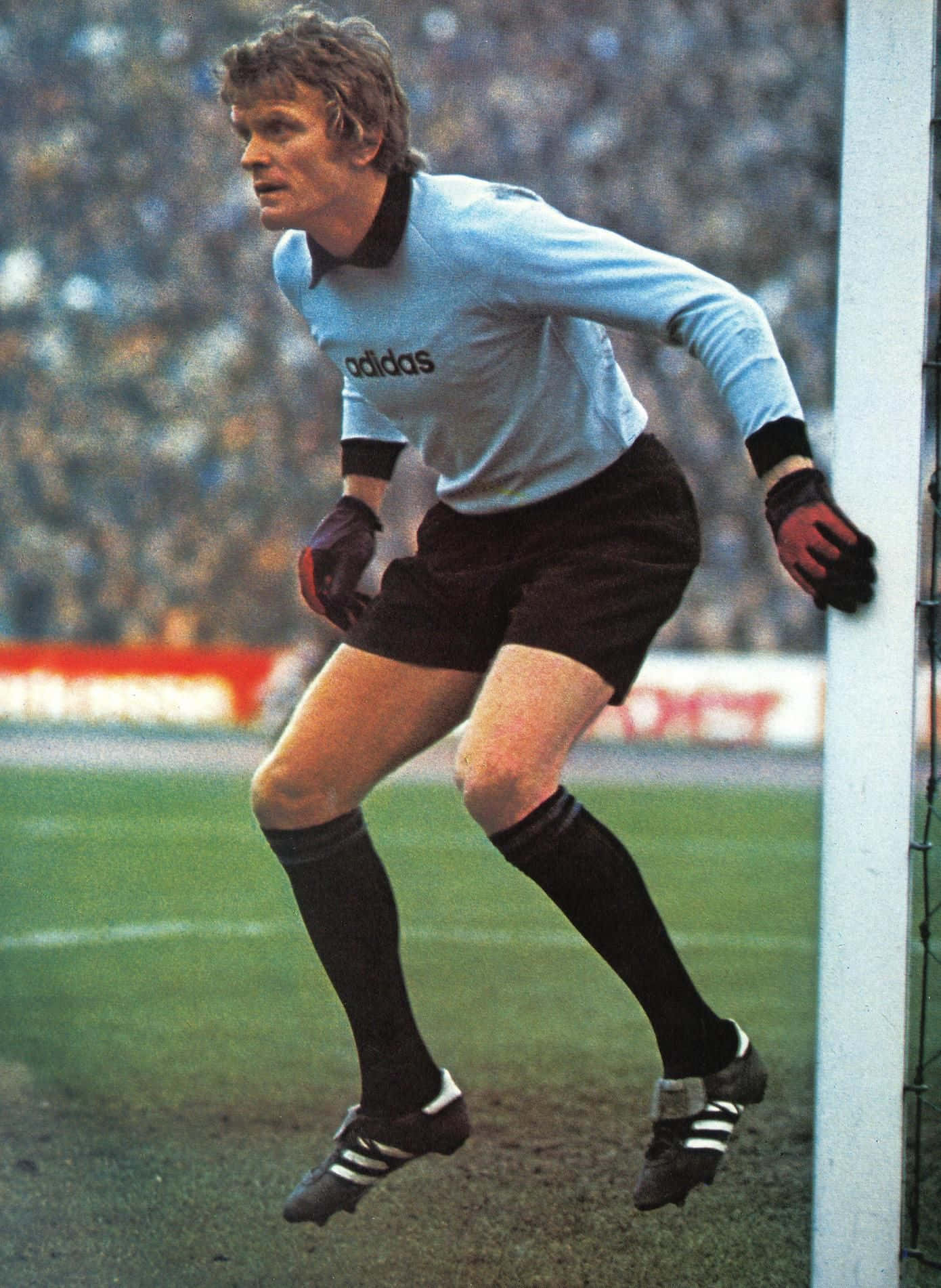 German Former Professional Football Goalkeeper Sepp Maier 1974 World Cup Wallpaper