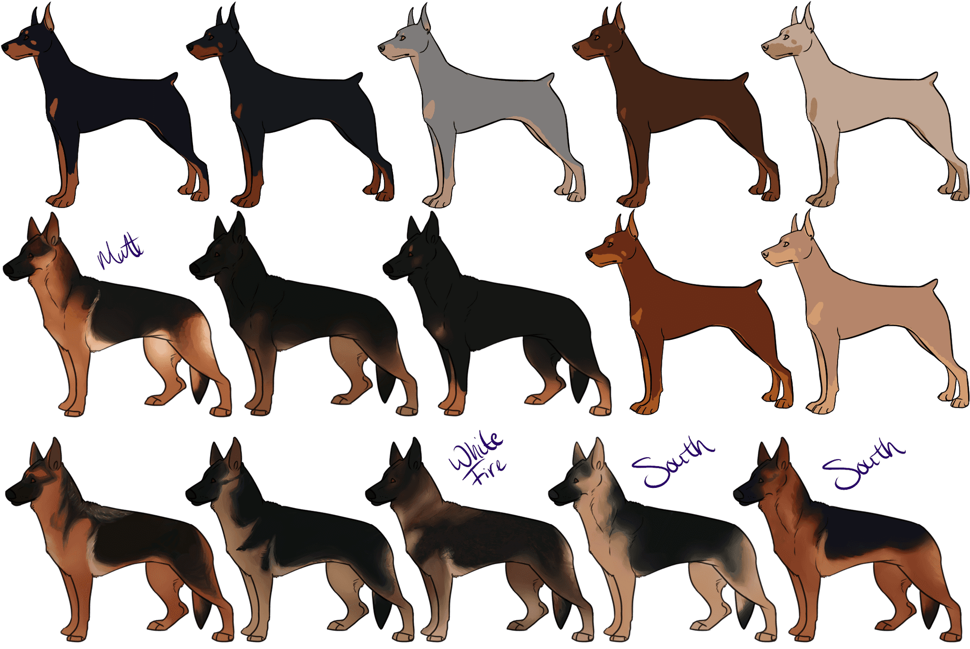 German Shepherd Coat Variations PNG