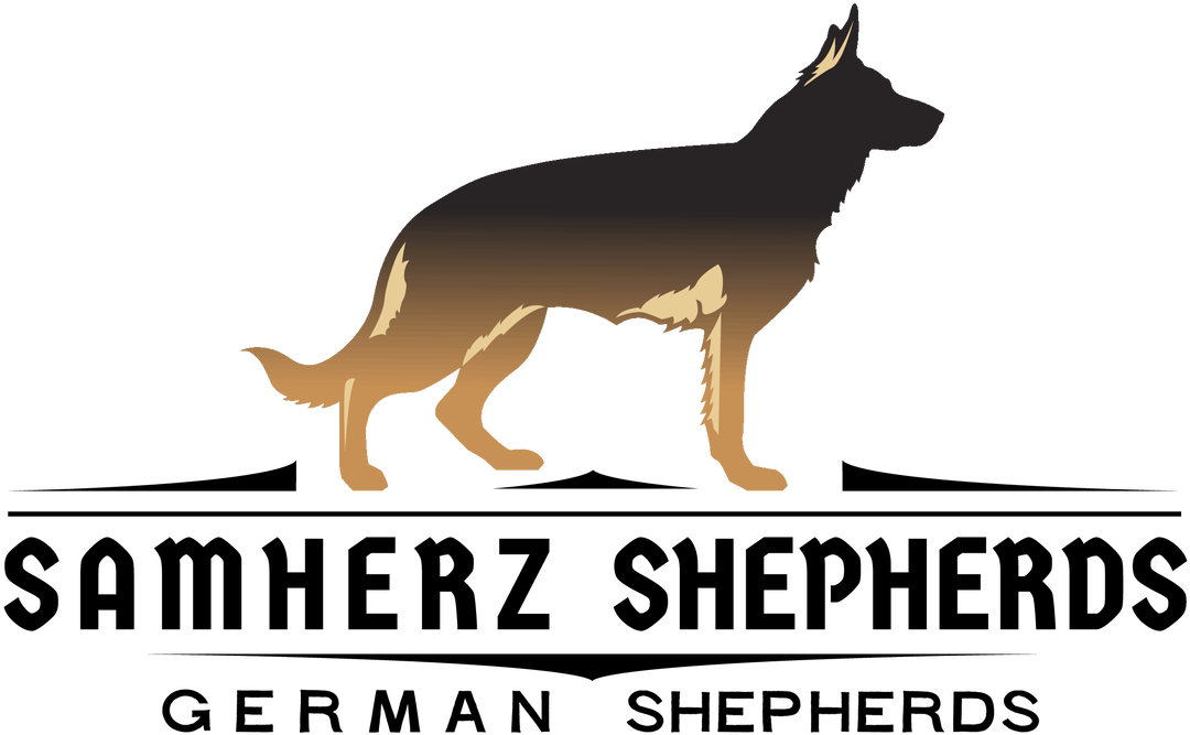 German Shepherd Kennel Logo PNG