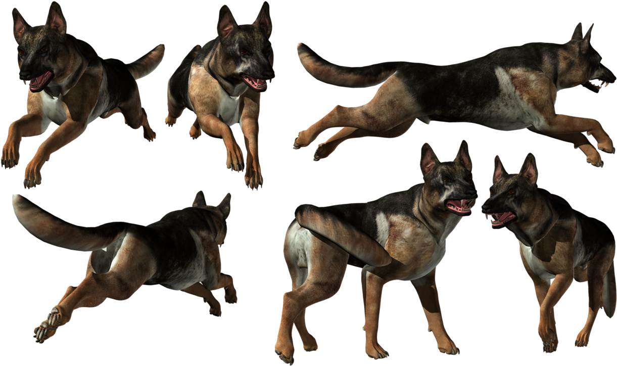 German Shepherd Multiple Poses PNG