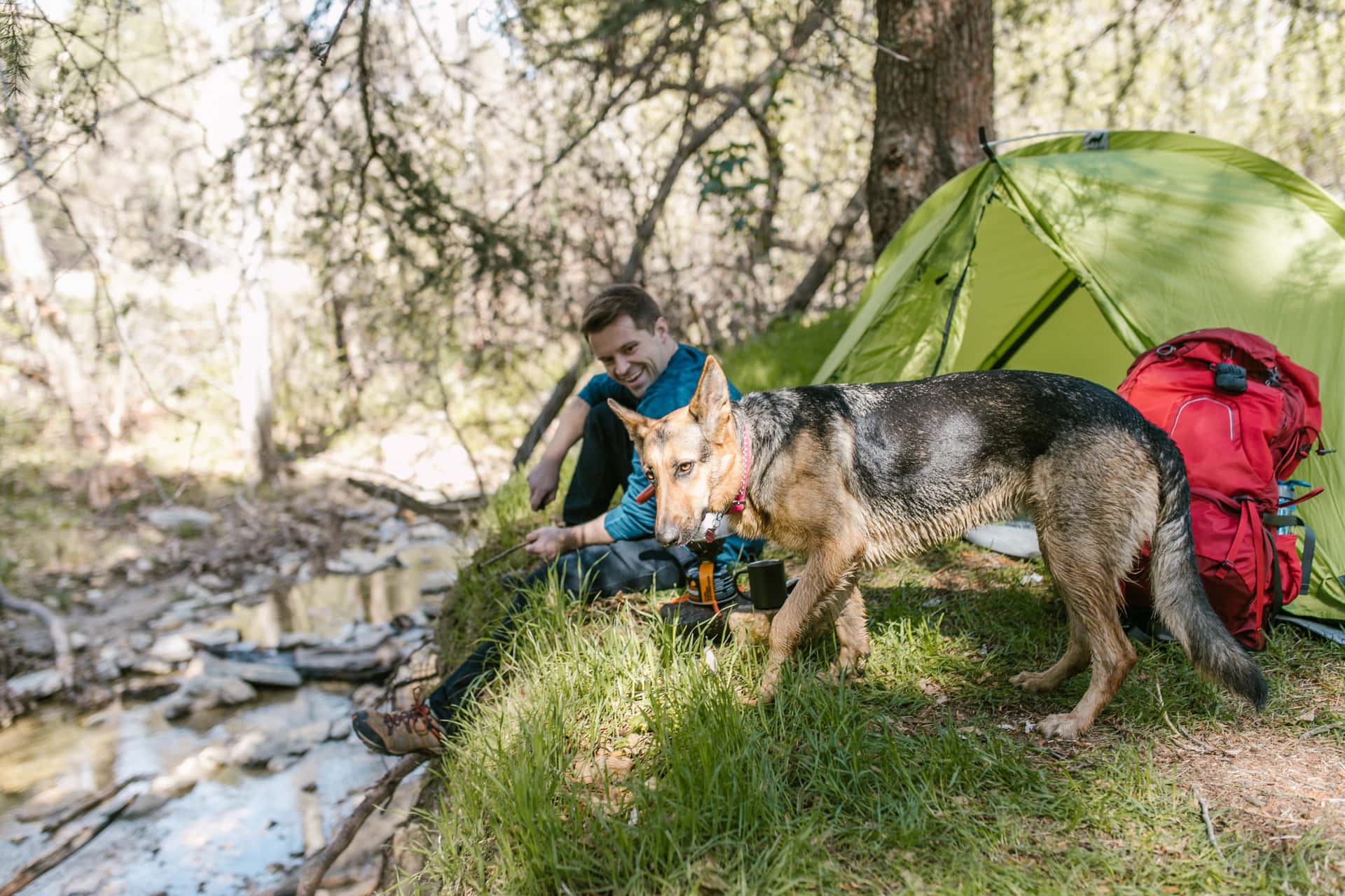 Einmann Und Ein Hund Sitzen In Der Nähe Eines Zeltes.