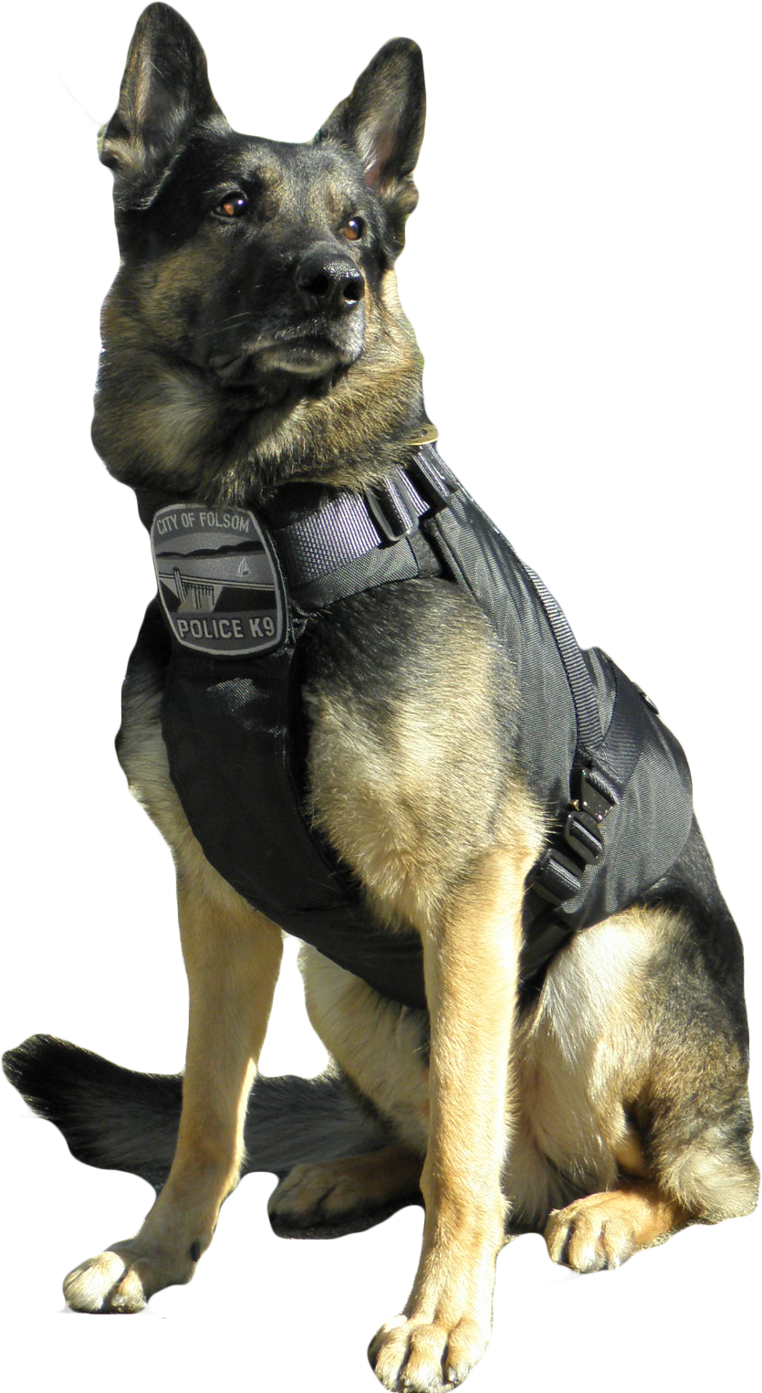 German Shepherd Police K9 Vest PNG