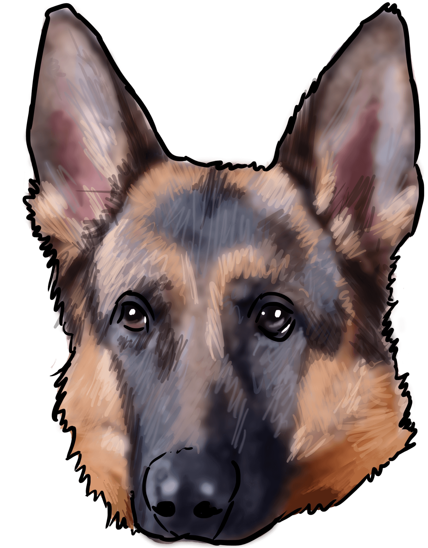 German Shepherd Portrait Illustration PNG