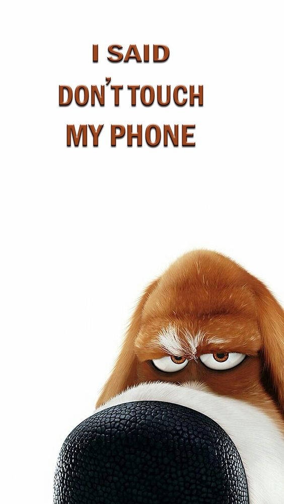 Get Off My Phone Dog Wallpaper