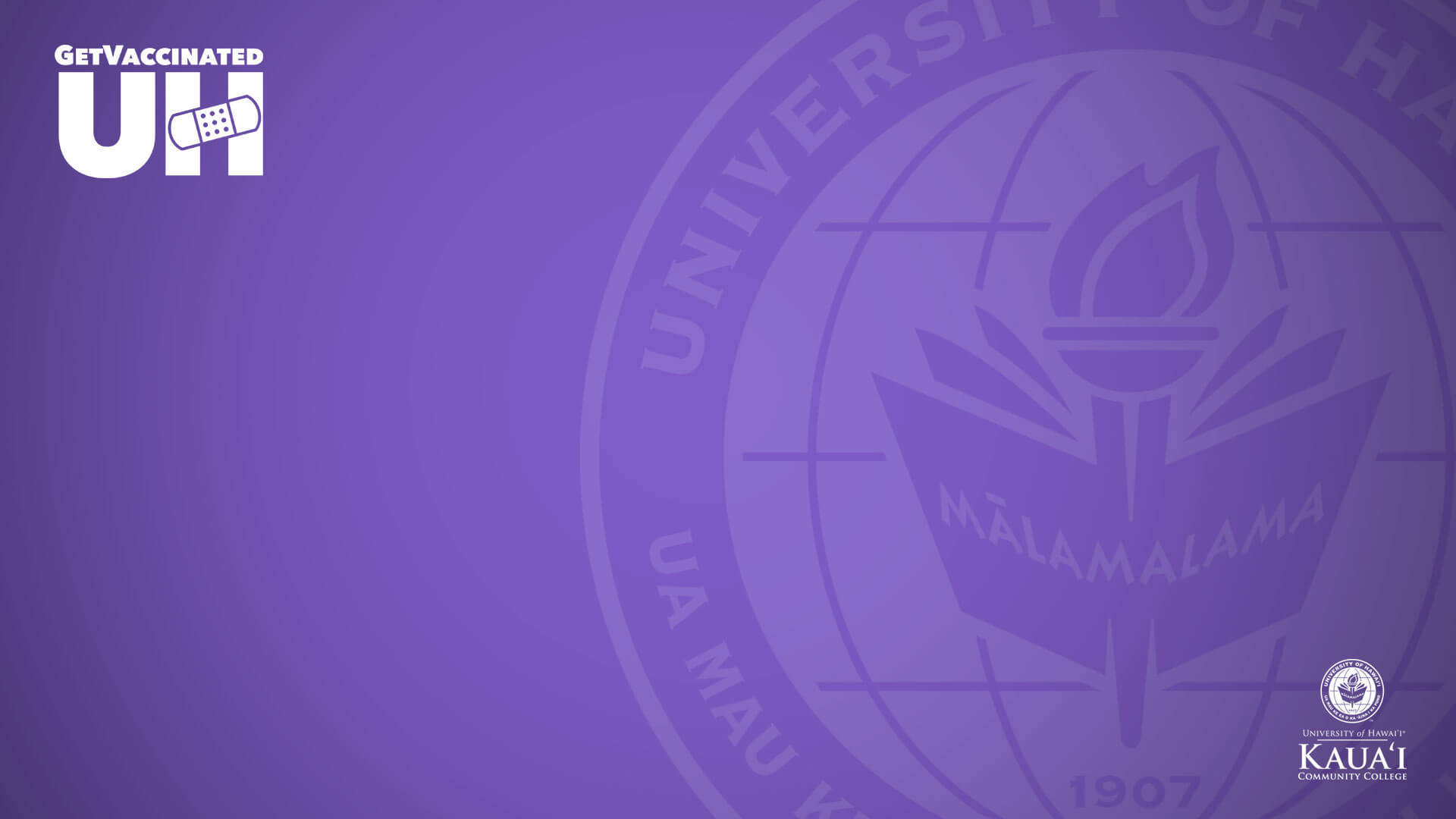 Få vaccineret University of Hawaii Kauai Violet Wallpaper
