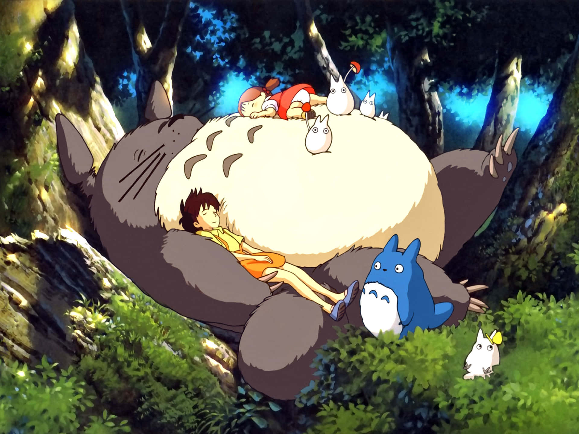 Hop on and join the adventure with Ghibli!