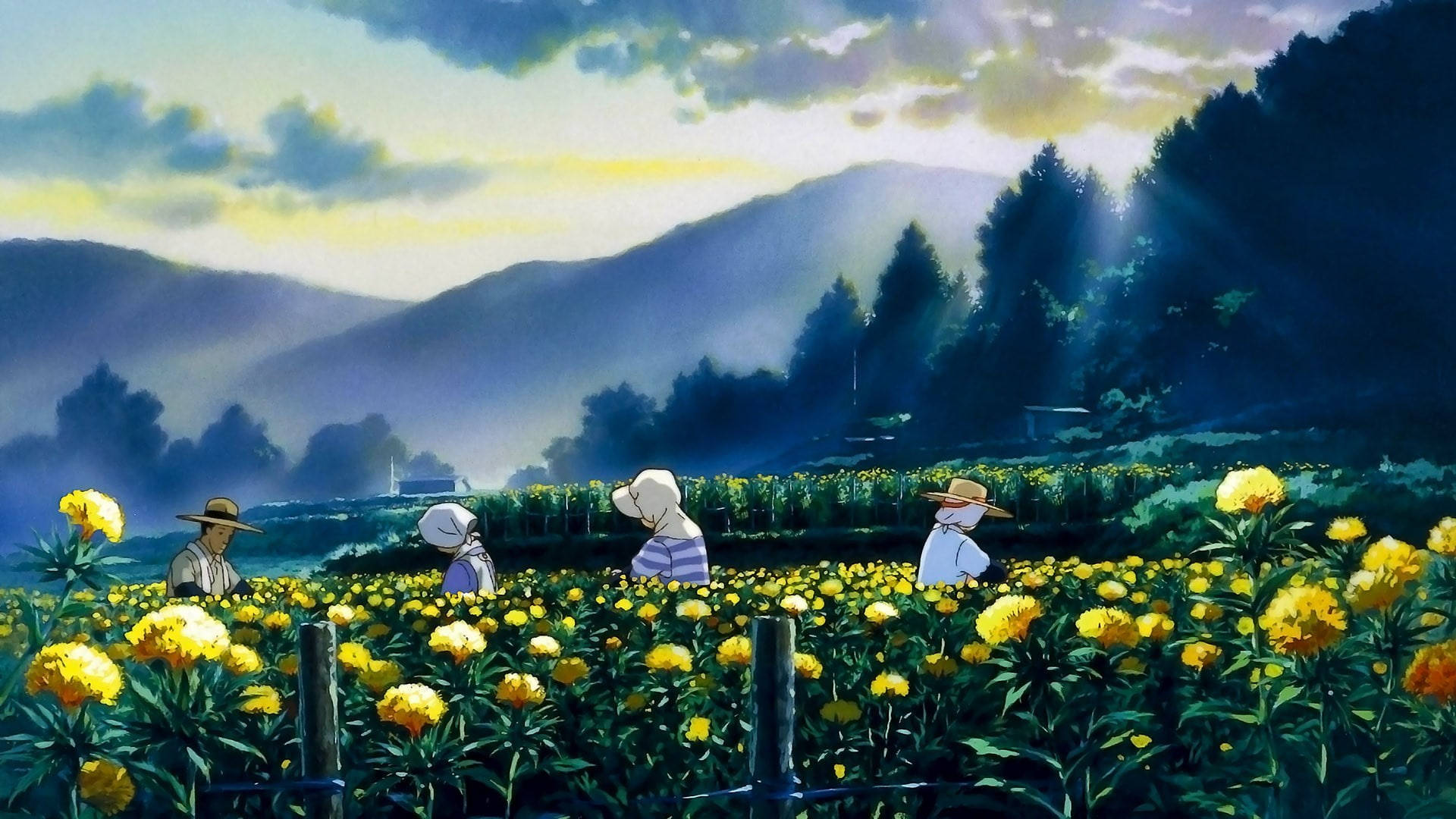 Ghibli Sunflower Laptop Background
