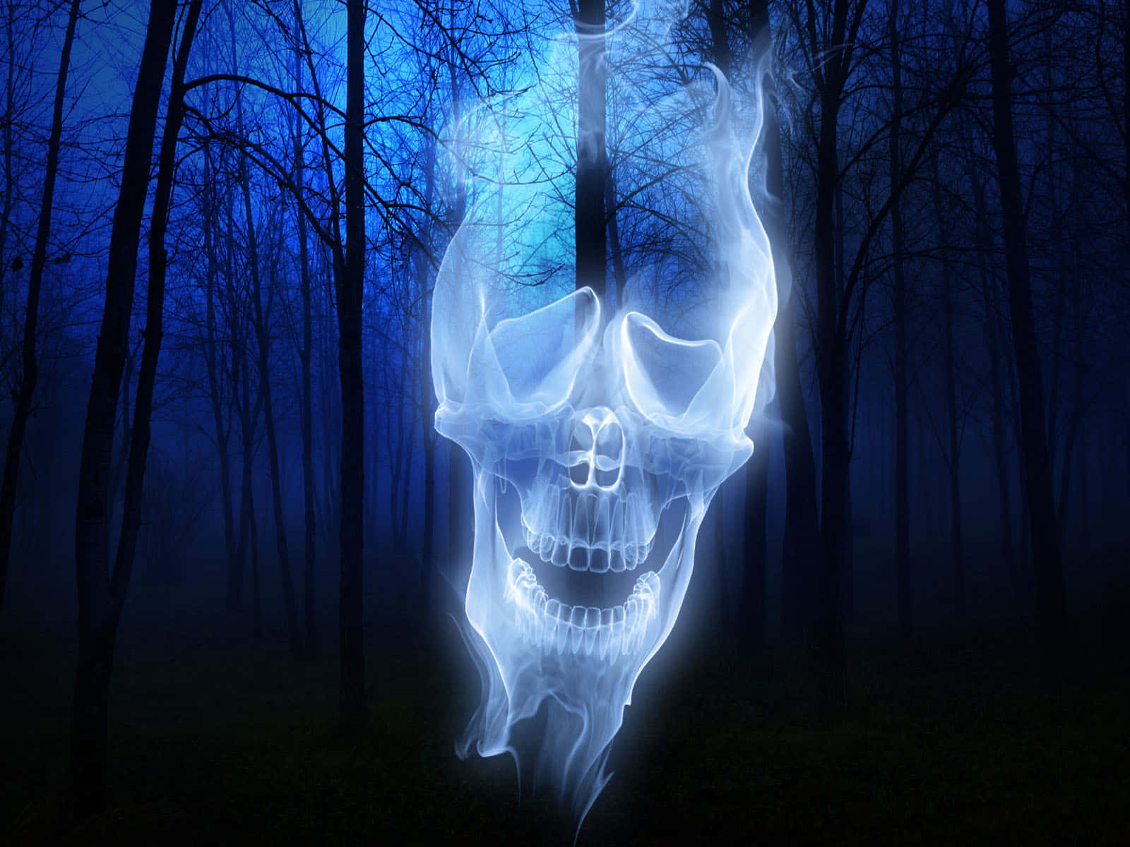 A Ghostly Skull In The Woods