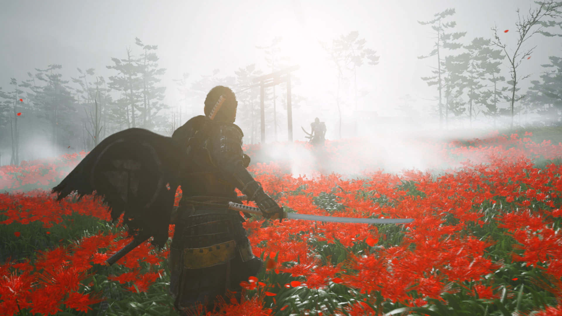 Erkundensie Das Alte Japan Als Samurai In Ghost Of Tsushima