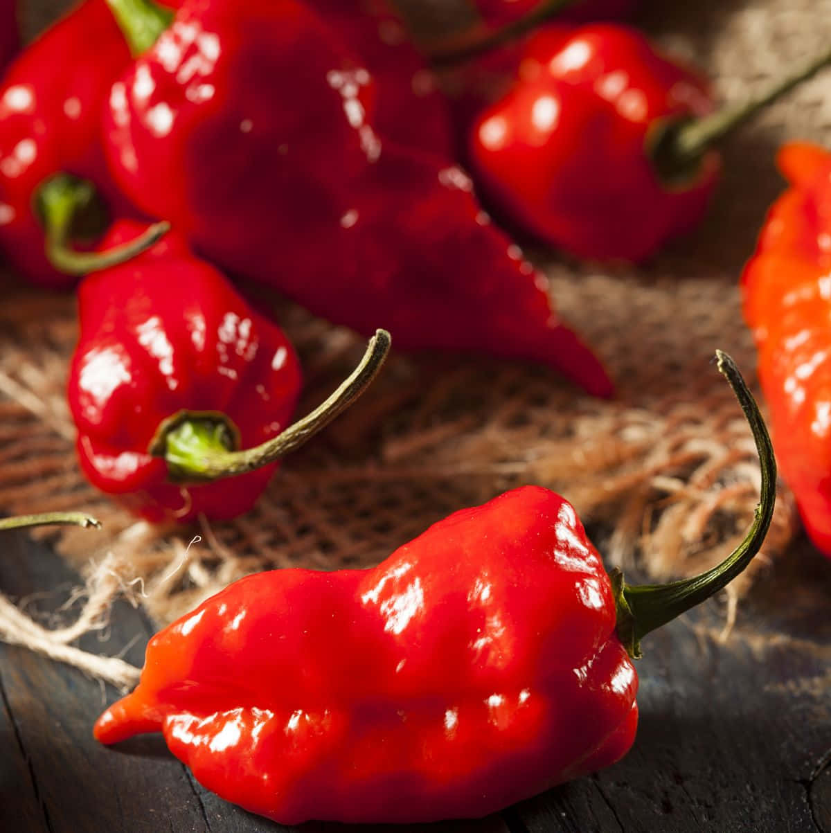 Spice Up Your Meals with the Ghost Pepper Wallpaper