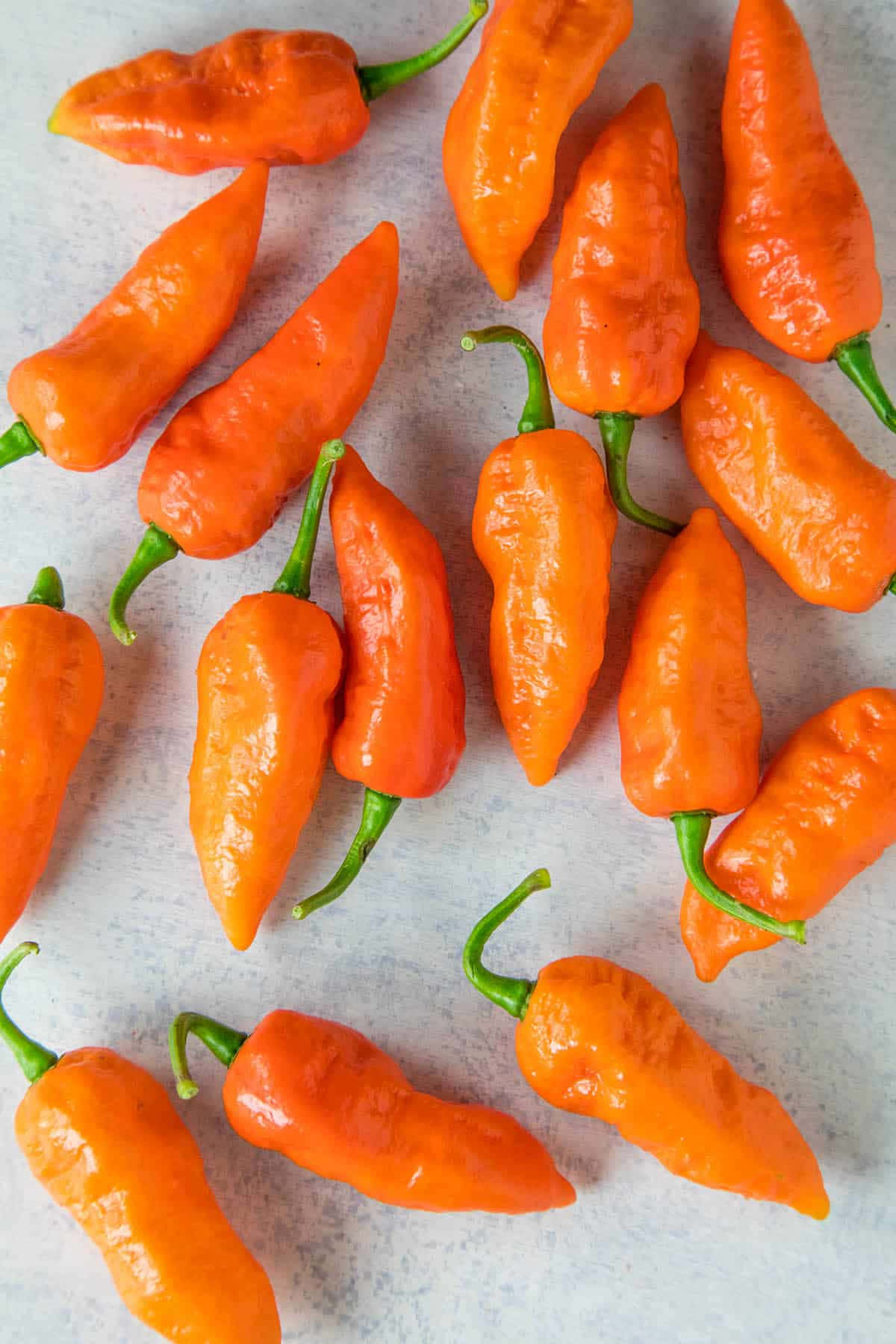 Experience the Burn with Ghost Peppers! Wallpaper