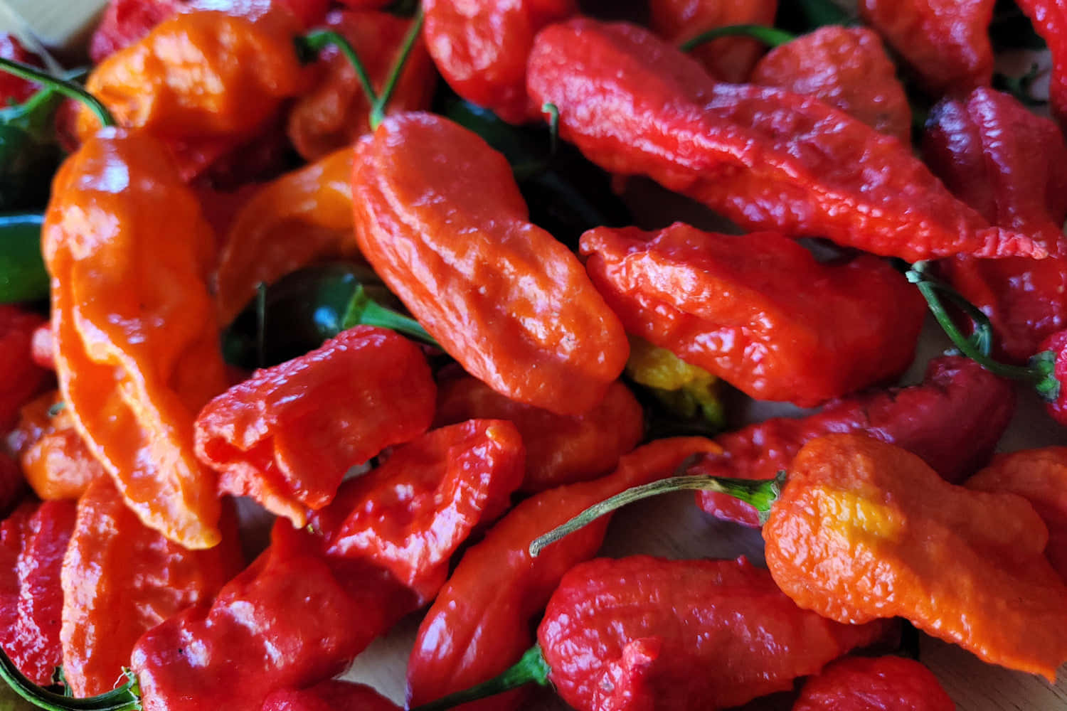 Brightly colored Ghost Pepper wraps Wallpaper