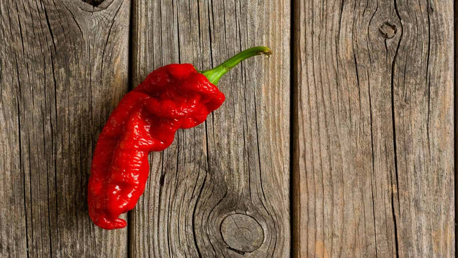 Pittig, Maar Heerlijk Ghost Pepper Achtergrond