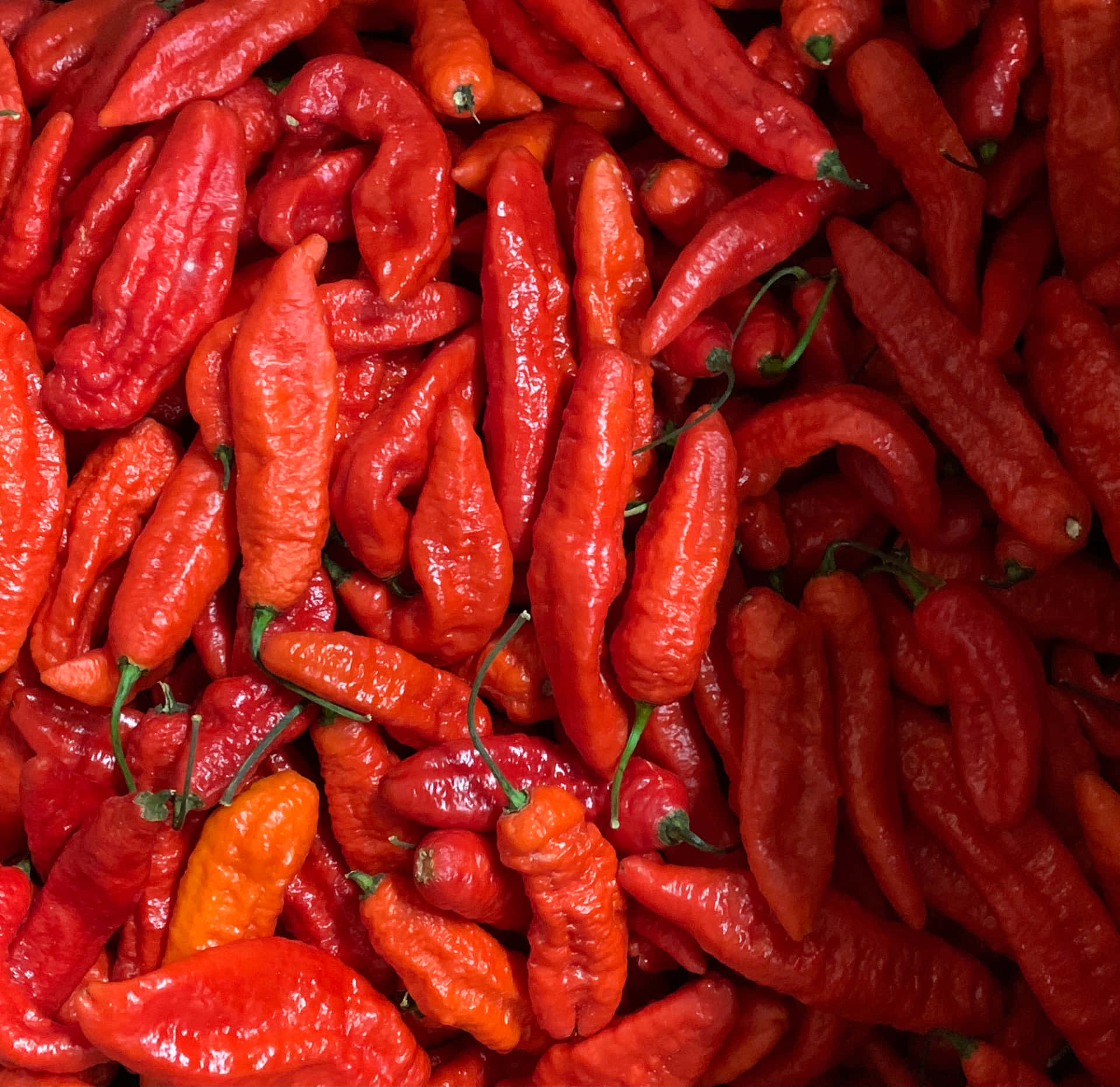 Pittige, Smaakvolle Ghost Pepper Achtergrond