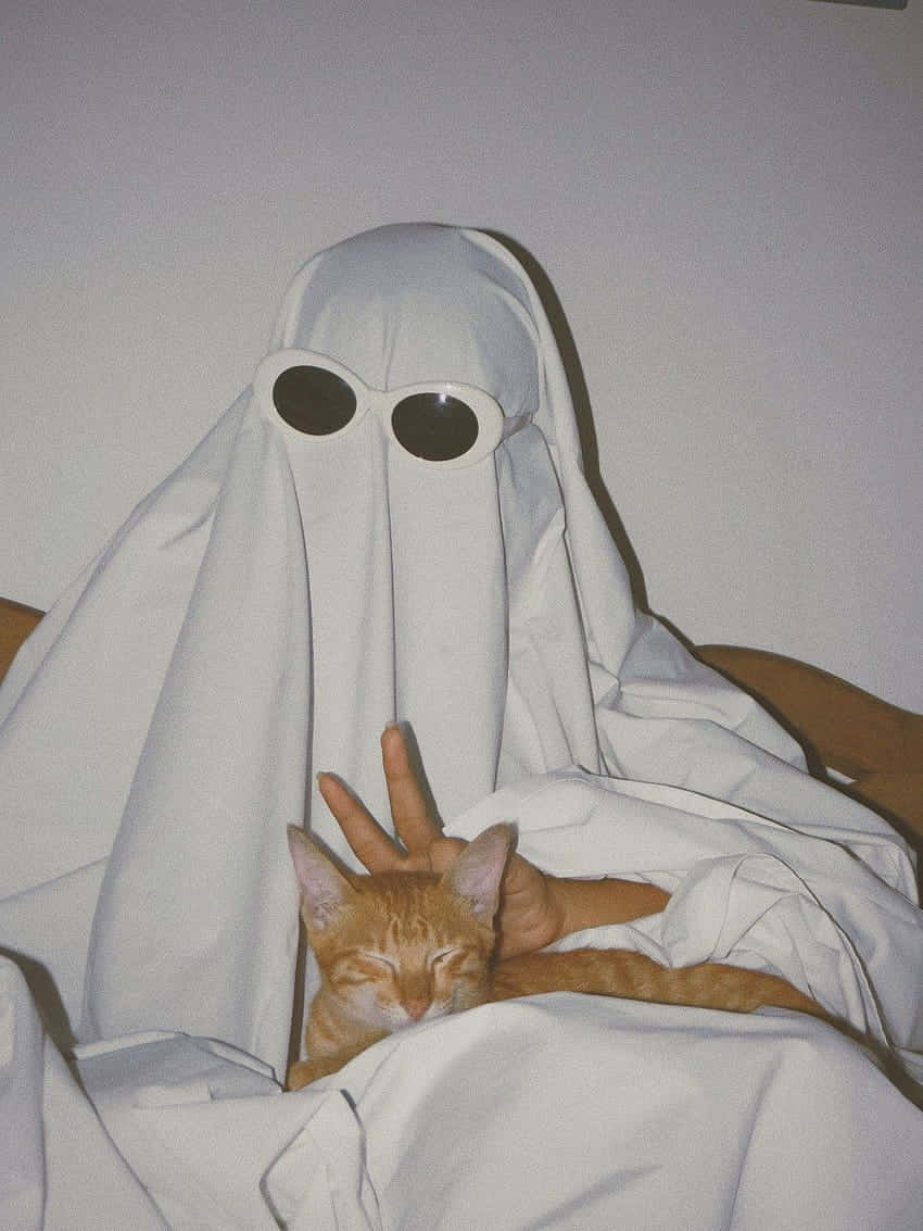 Ghost With Cat Funny Pfp For Tiktok Wallpaper