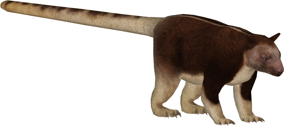 Giant Anteater Side View PNG