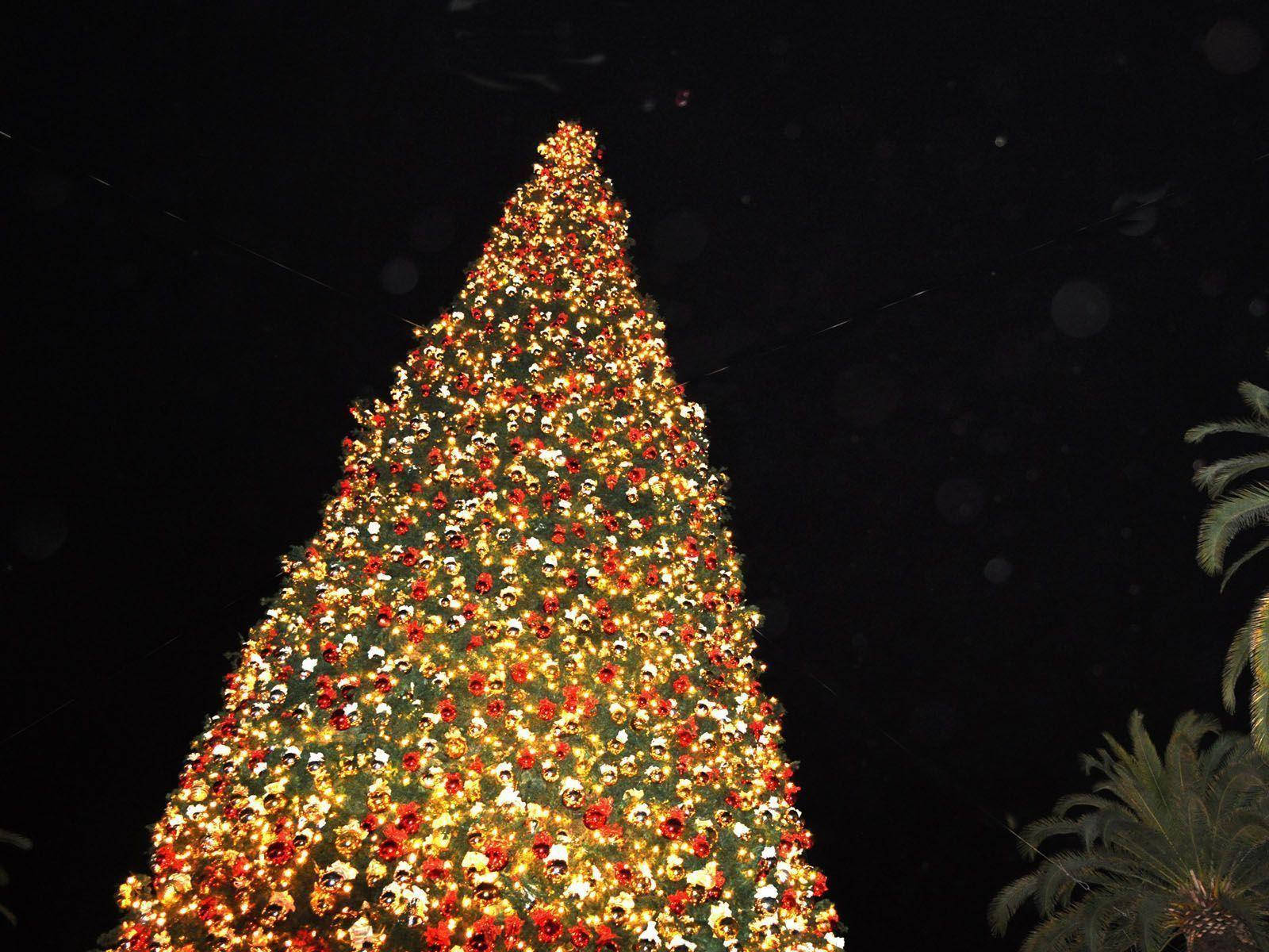 Árbolde Navidad Gigante Con Luces Hermosas. Fondo de pantalla