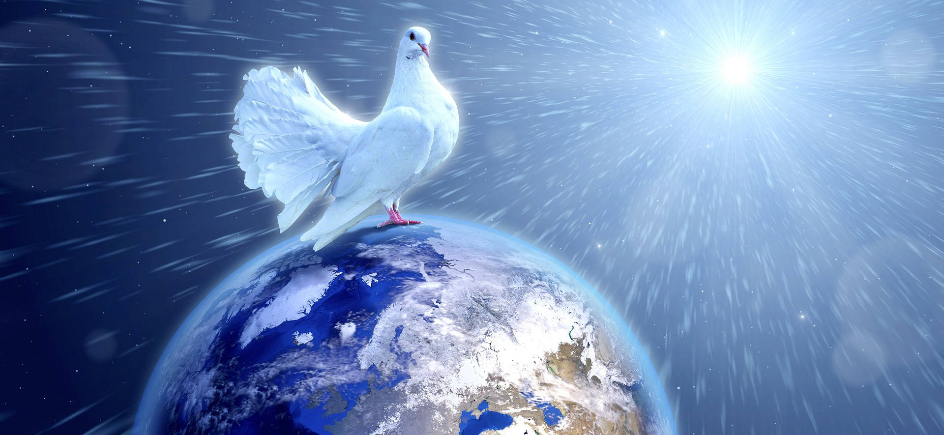 Giant Dove For World Peace Wallpaper