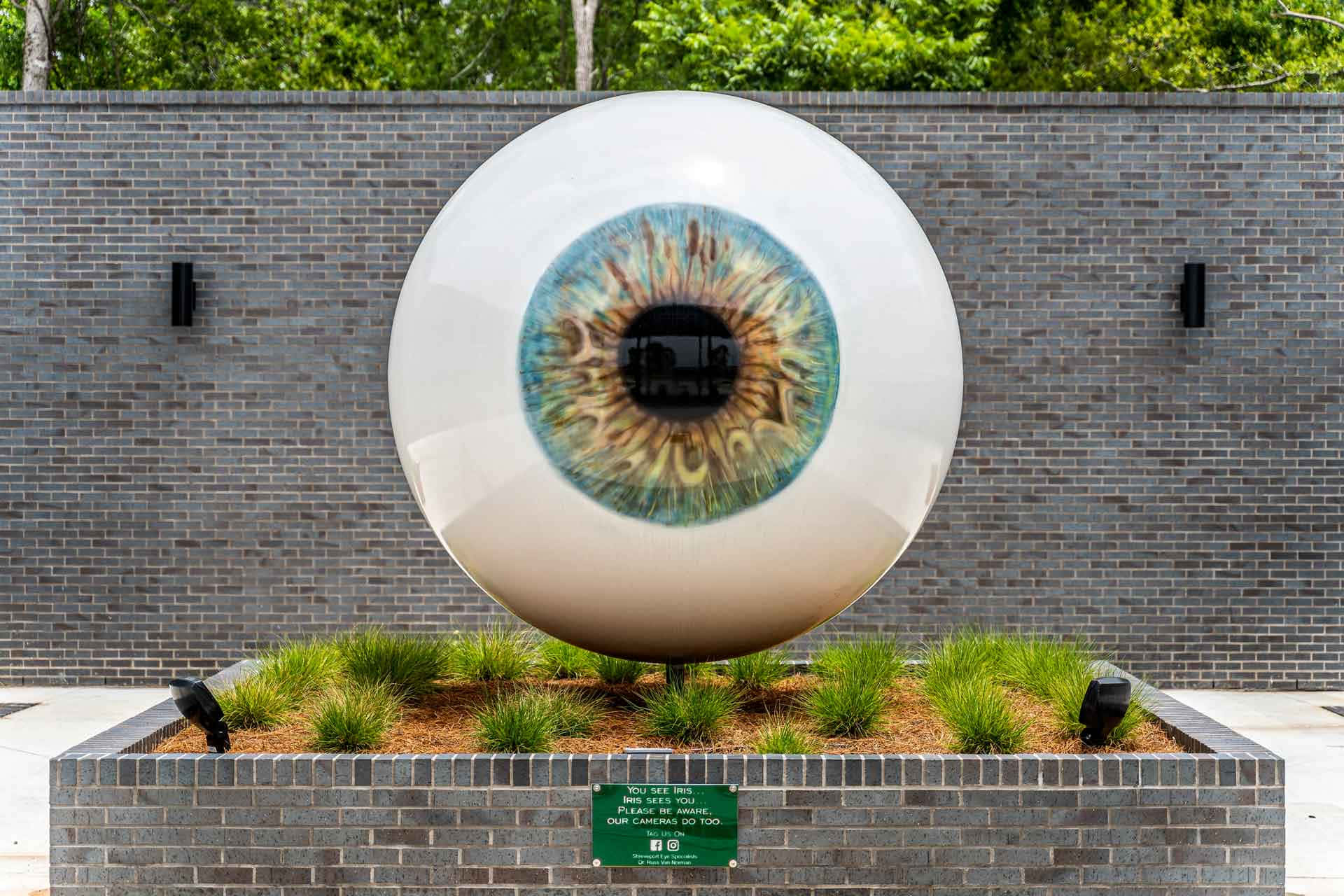 Giant Eye Sculpture Shreveport Wallpaper