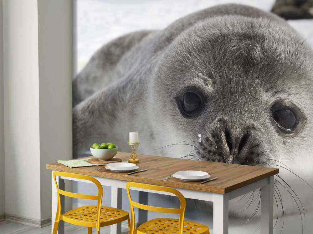 Giant Gray Seal Dining Room Intrusion Wallpaper