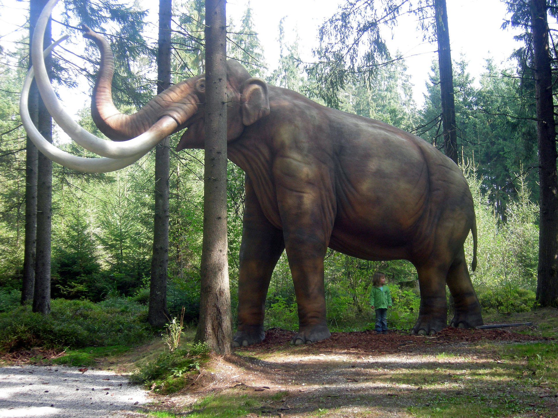 Giant Mammoth Statue Wallpaper