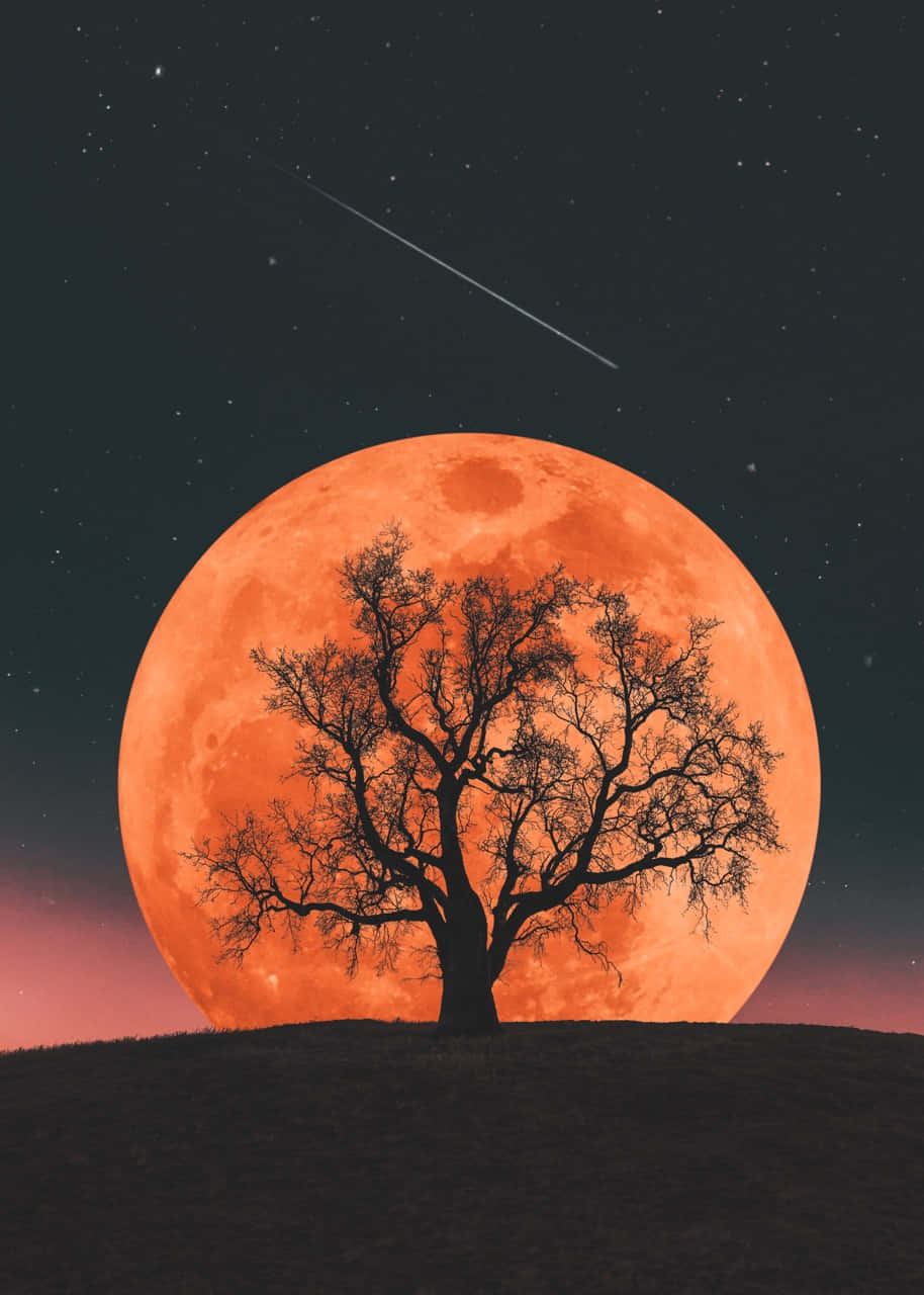 Giant Moonrise With Treeand Shooting Star Wallpaper