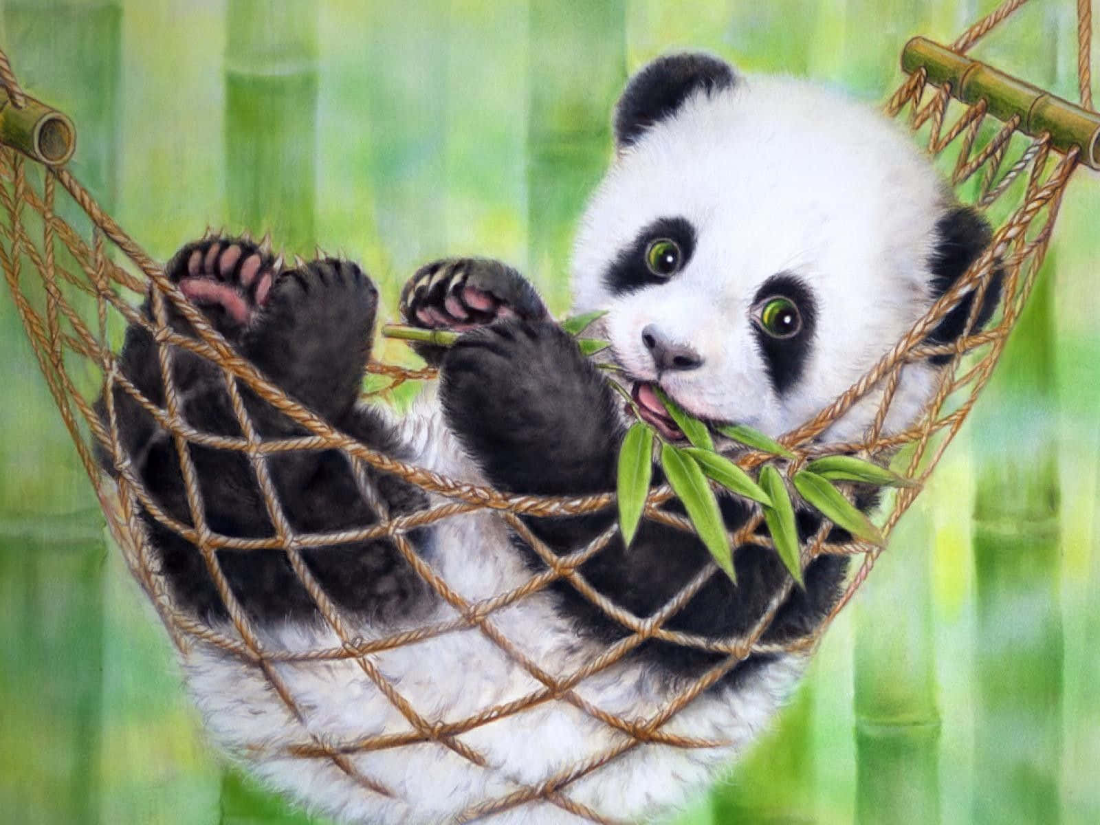 Giant Panda Relaxing On Hammock Background