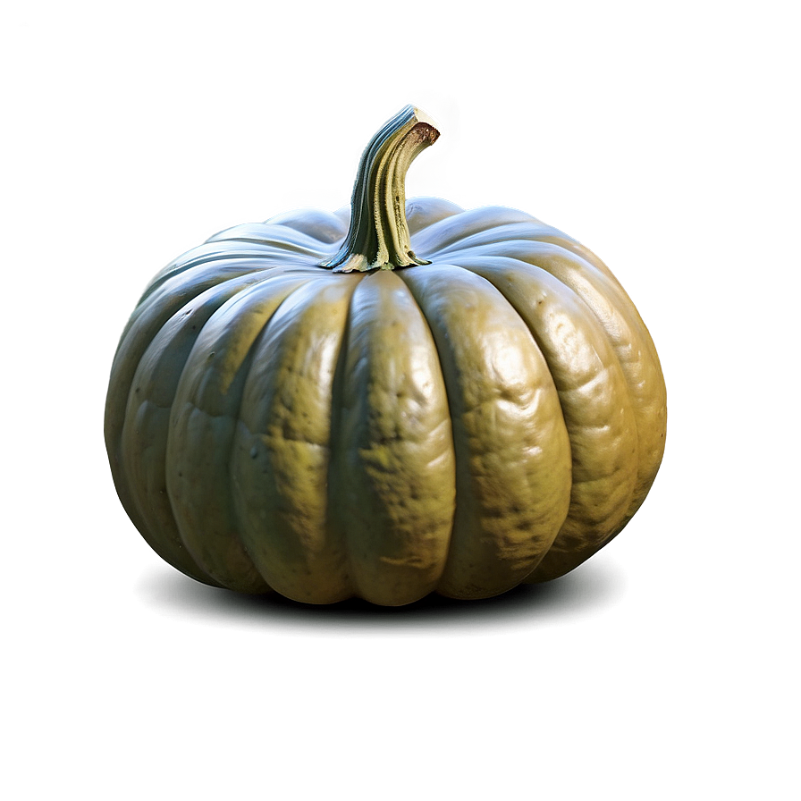 Giant Pumpkin Png 04292024 PNG