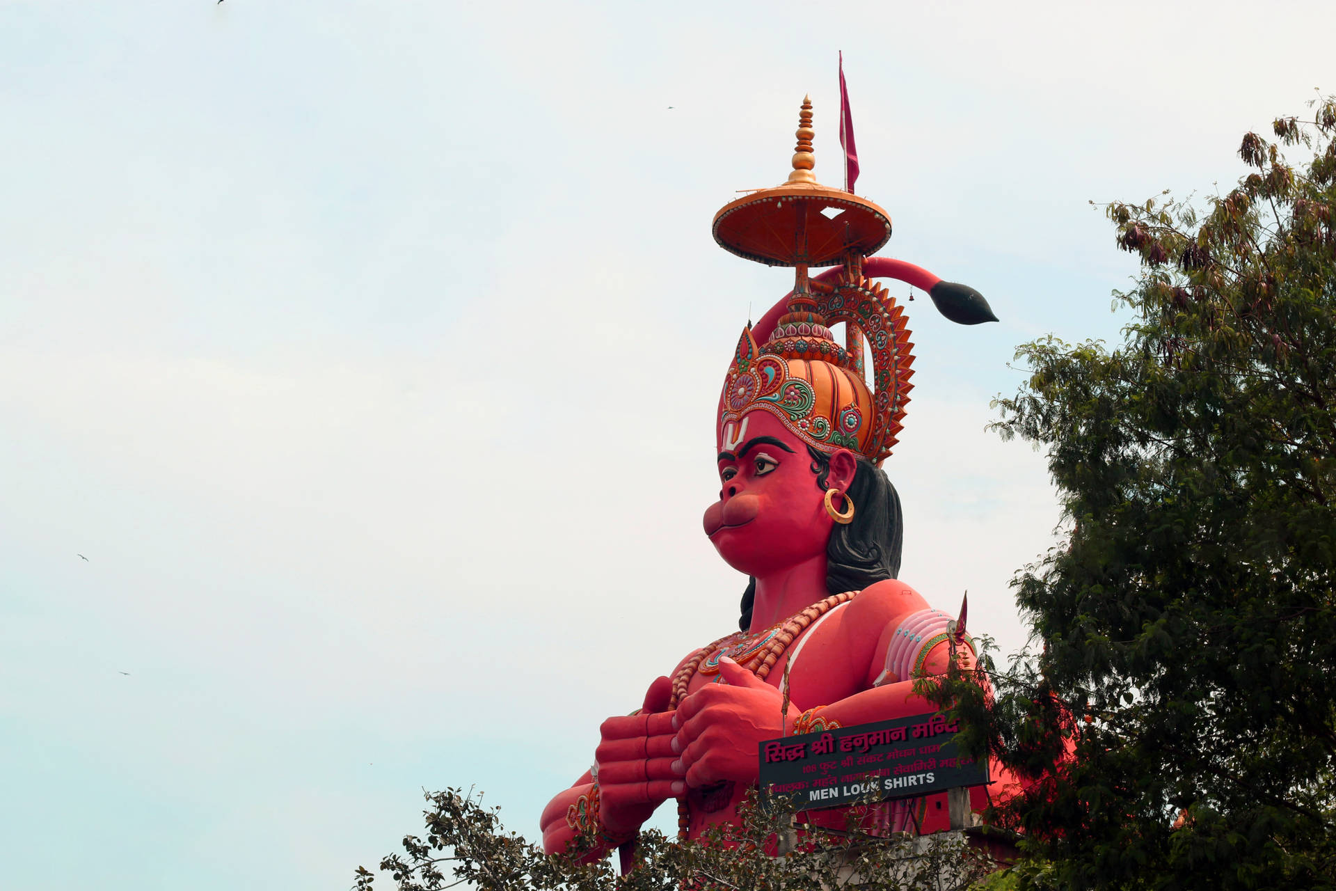 Gigante Statua Ram Ji Con Alberi Sfondo