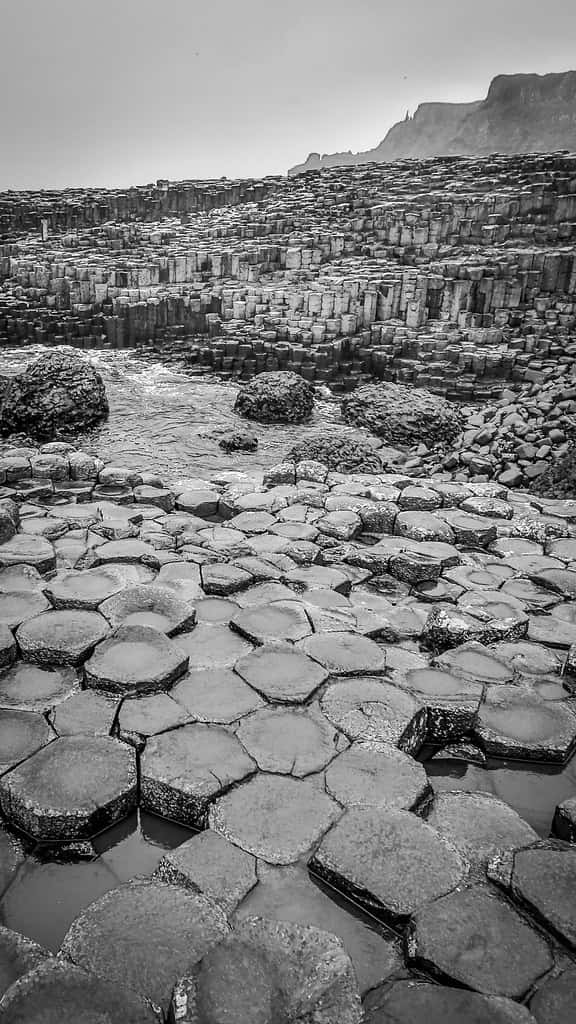 Giant's Causeway Black And White Wallpaper