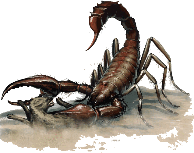 Giant Scorpion Attacking Wolf PNG