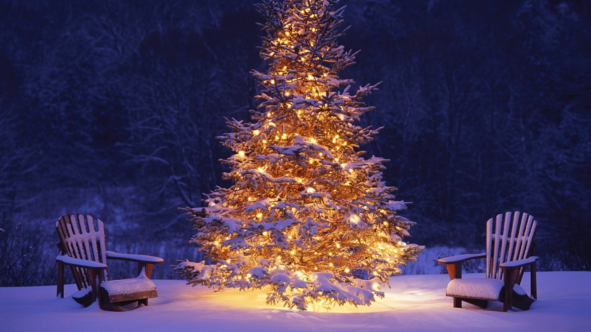 Giant Snowy Tree Merry Christmas Hd Wallpaper