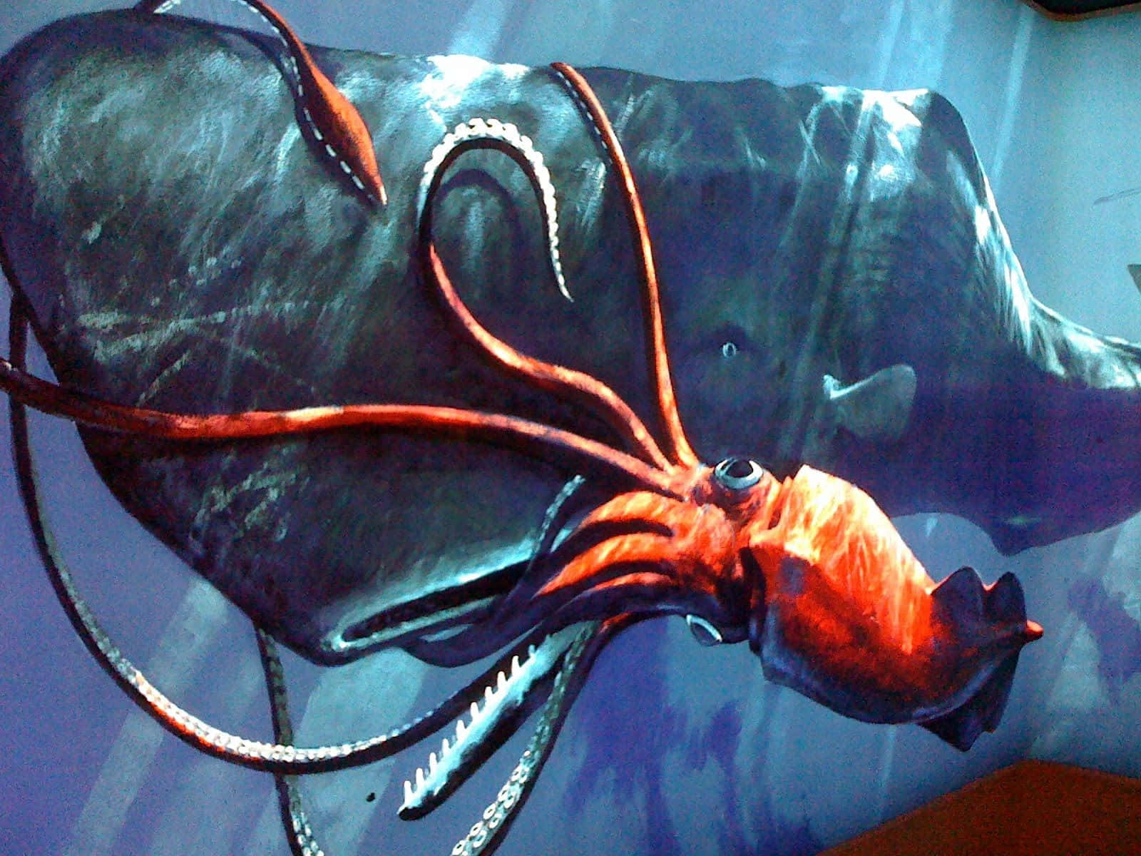 Giant Squid Encounter Wallpaper