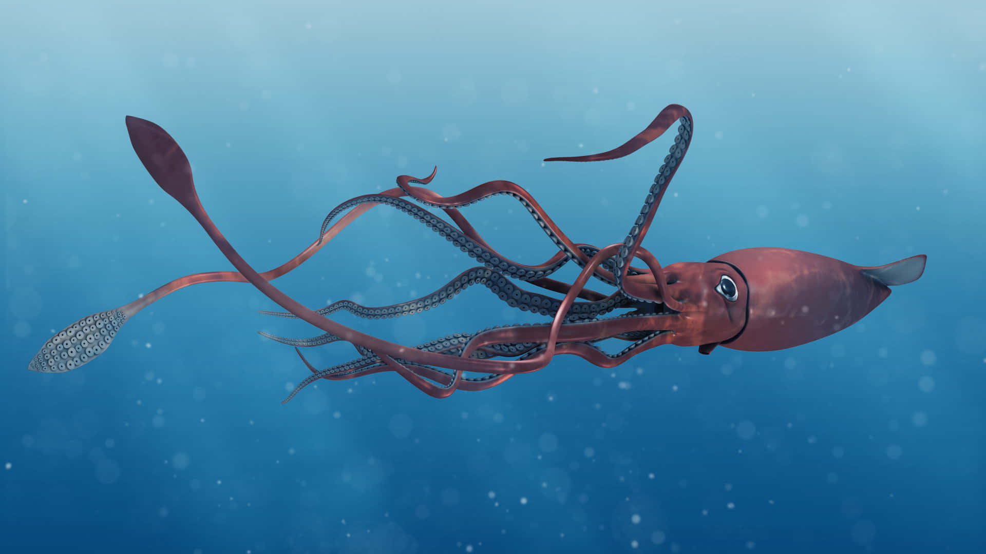 A Giant Squid drifting in the depths of the ocean.