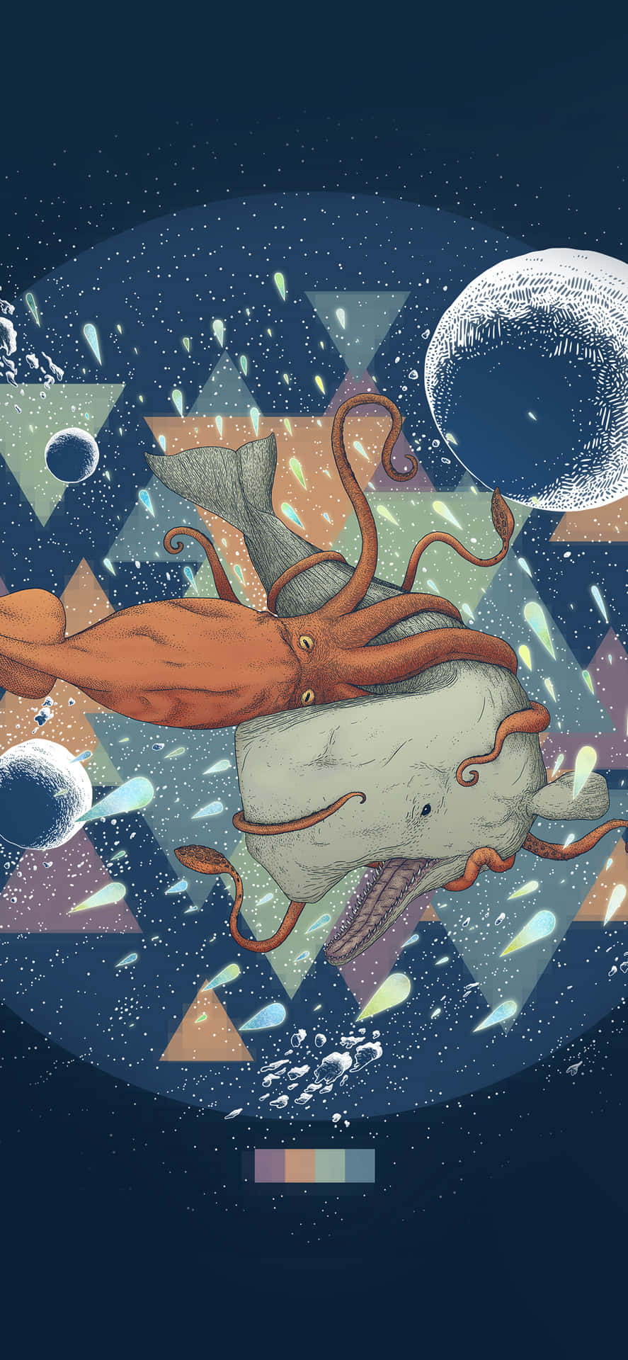 A Giant Squid Fills the Oceans with Mystery