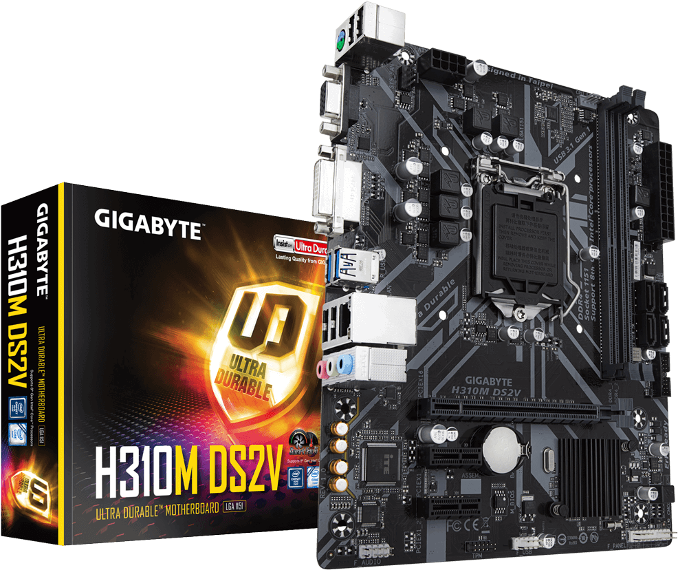 Gigabyte H310 M D S2 V Motherboard Packagingand Board PNG