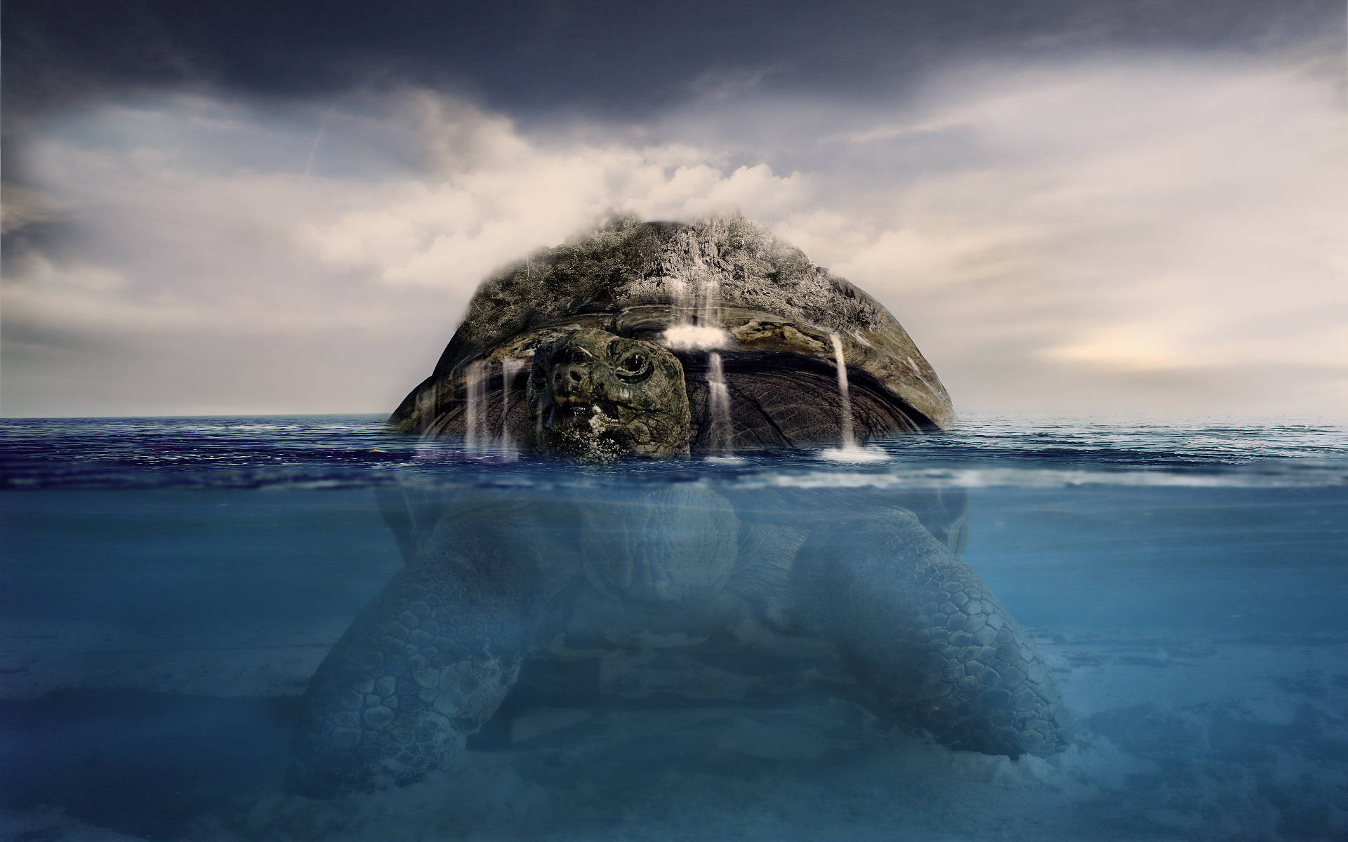Gigantiske Cool Skildpadder i Havet Wallpaper