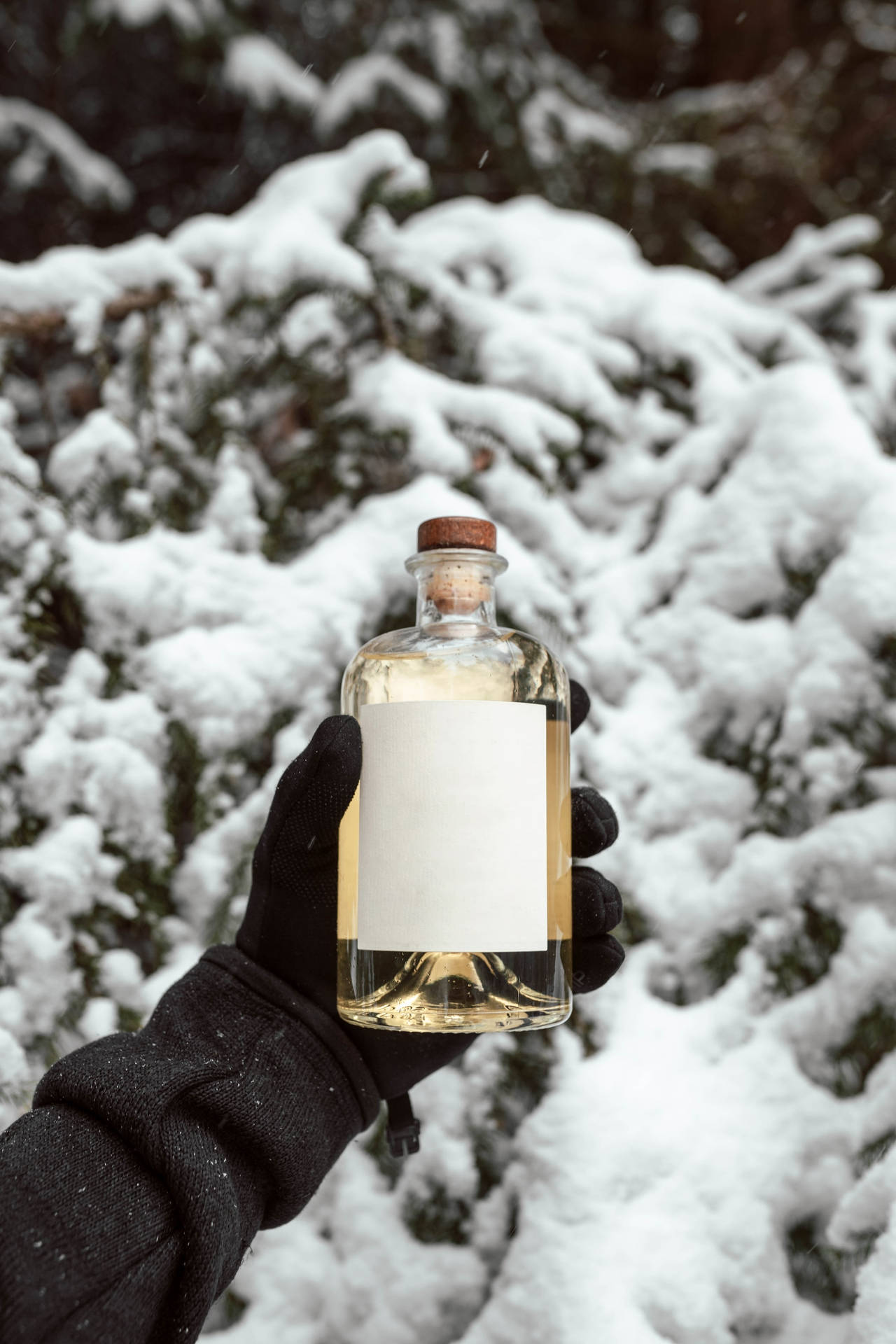Gin On Snow Wallpaper