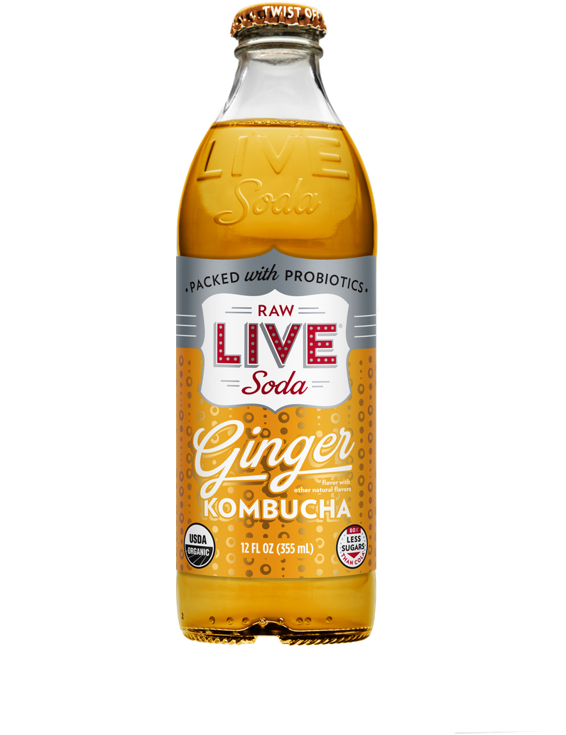Download Ginger Kombucha Live Soda Bottle