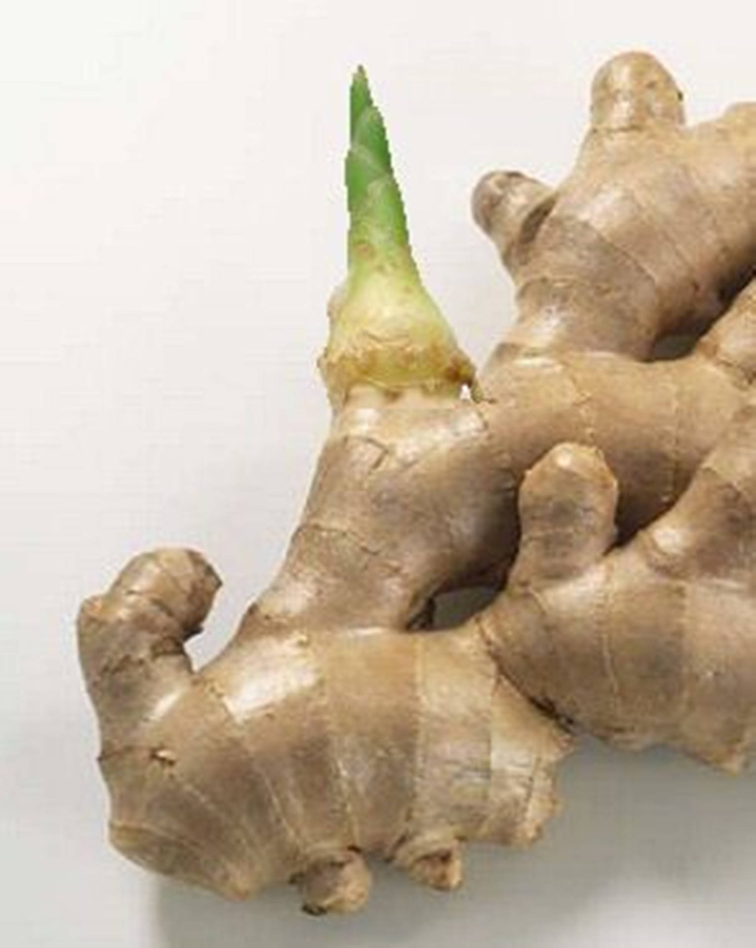 Ginger Root Vegetable With Tiny Bud Wallpaper