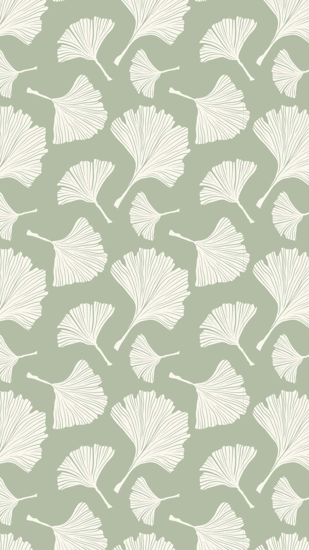 Ginkgo blade tegnet på en sød salviegrøn overflade Wallpaper