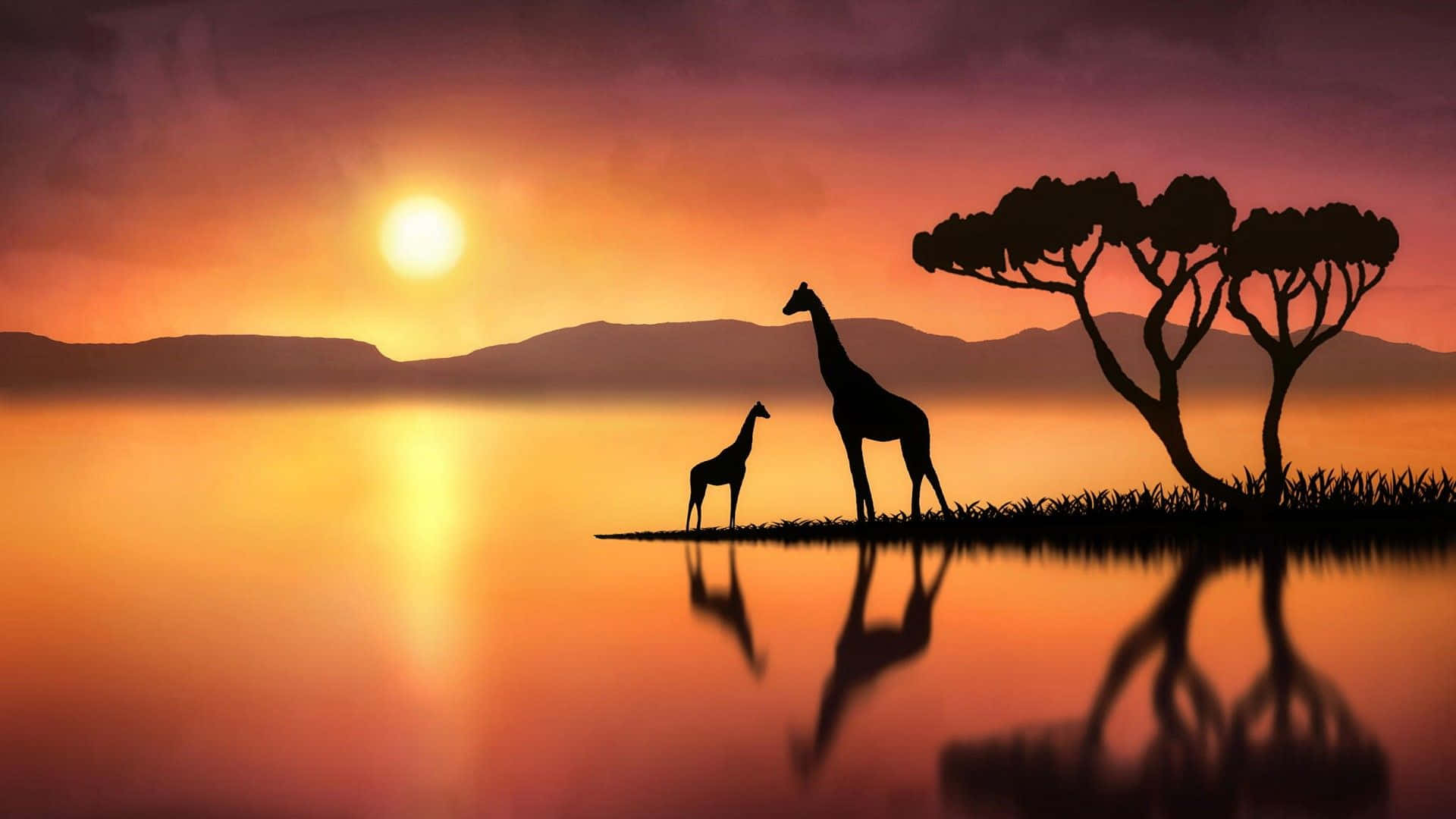 Einmajestätischer Ausblick Auf Eine Giraffe In Ihrem Majestätischen Lebensraum
